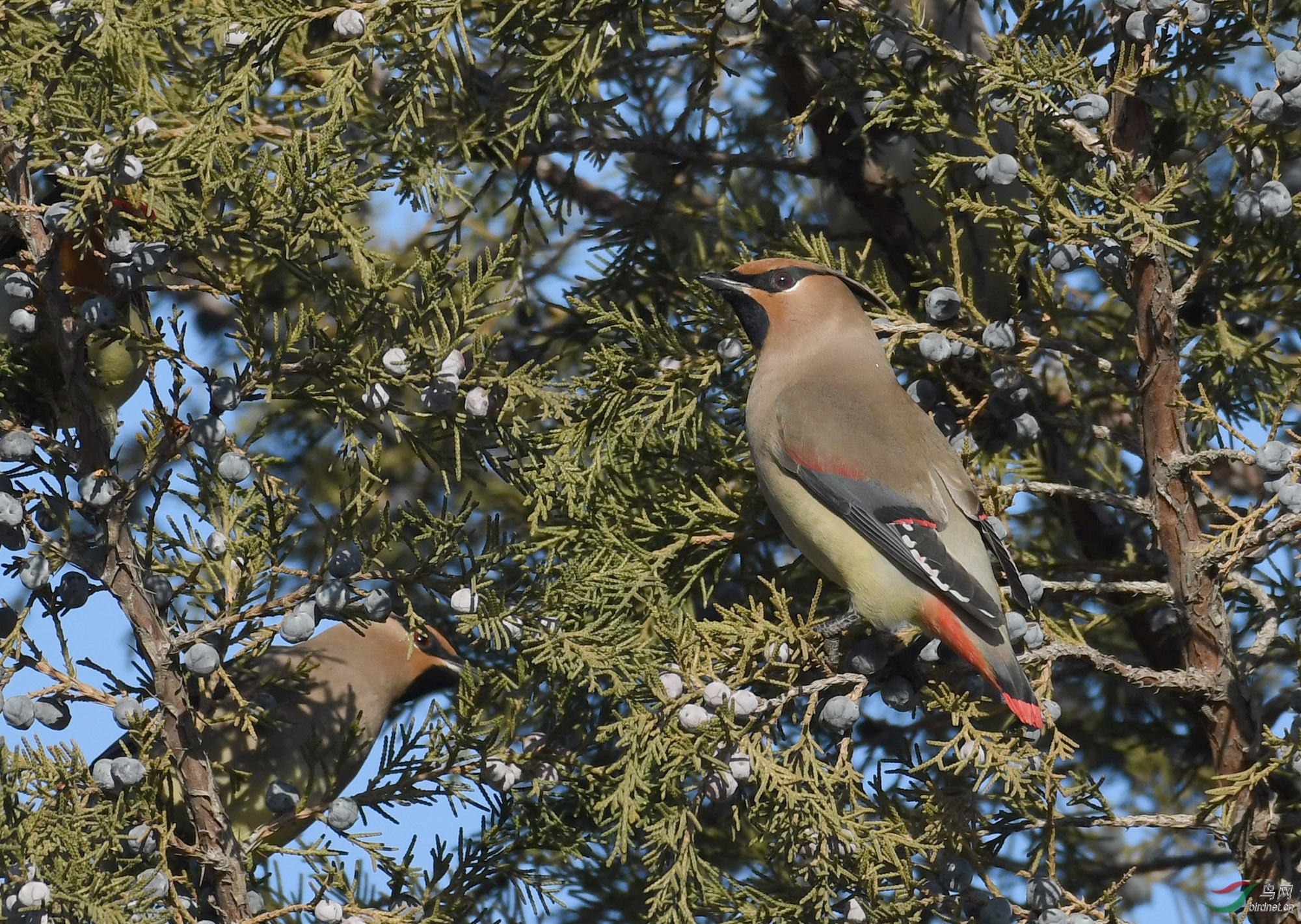 ������Ӱ 1480����.jpg