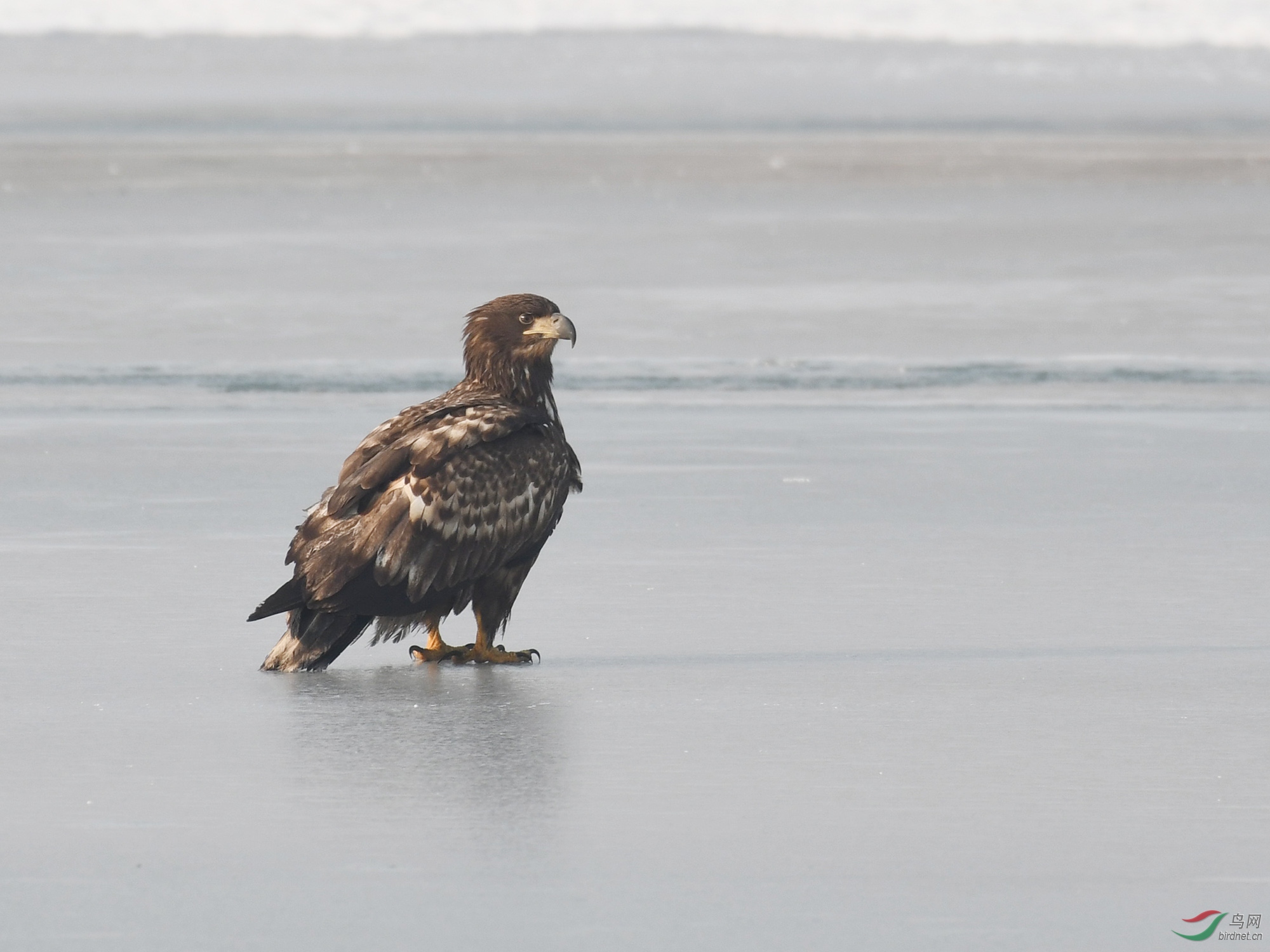 ������Ӱ 012����.jpg