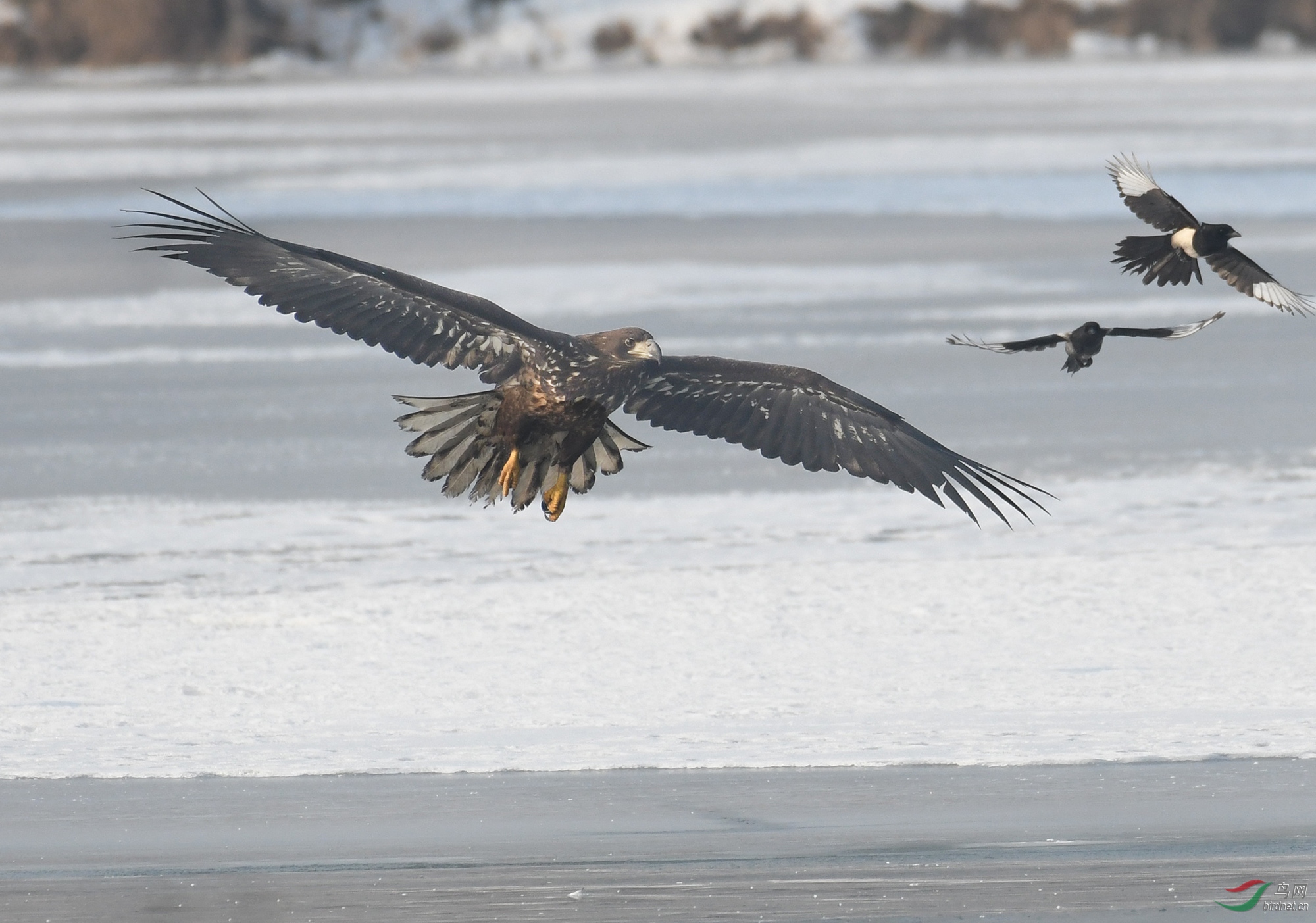 ������Ӱ 214����.jpg