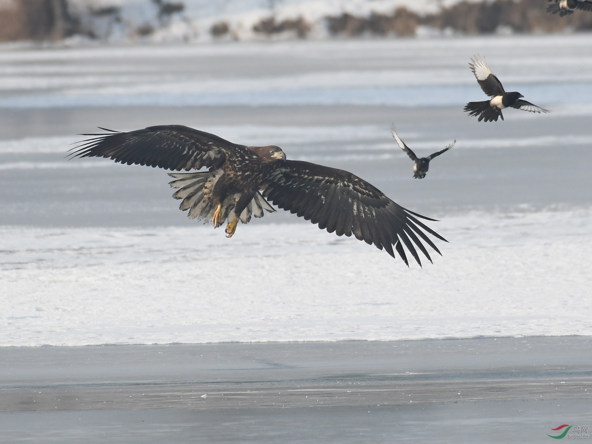 ������Ӱ 215����.jpg