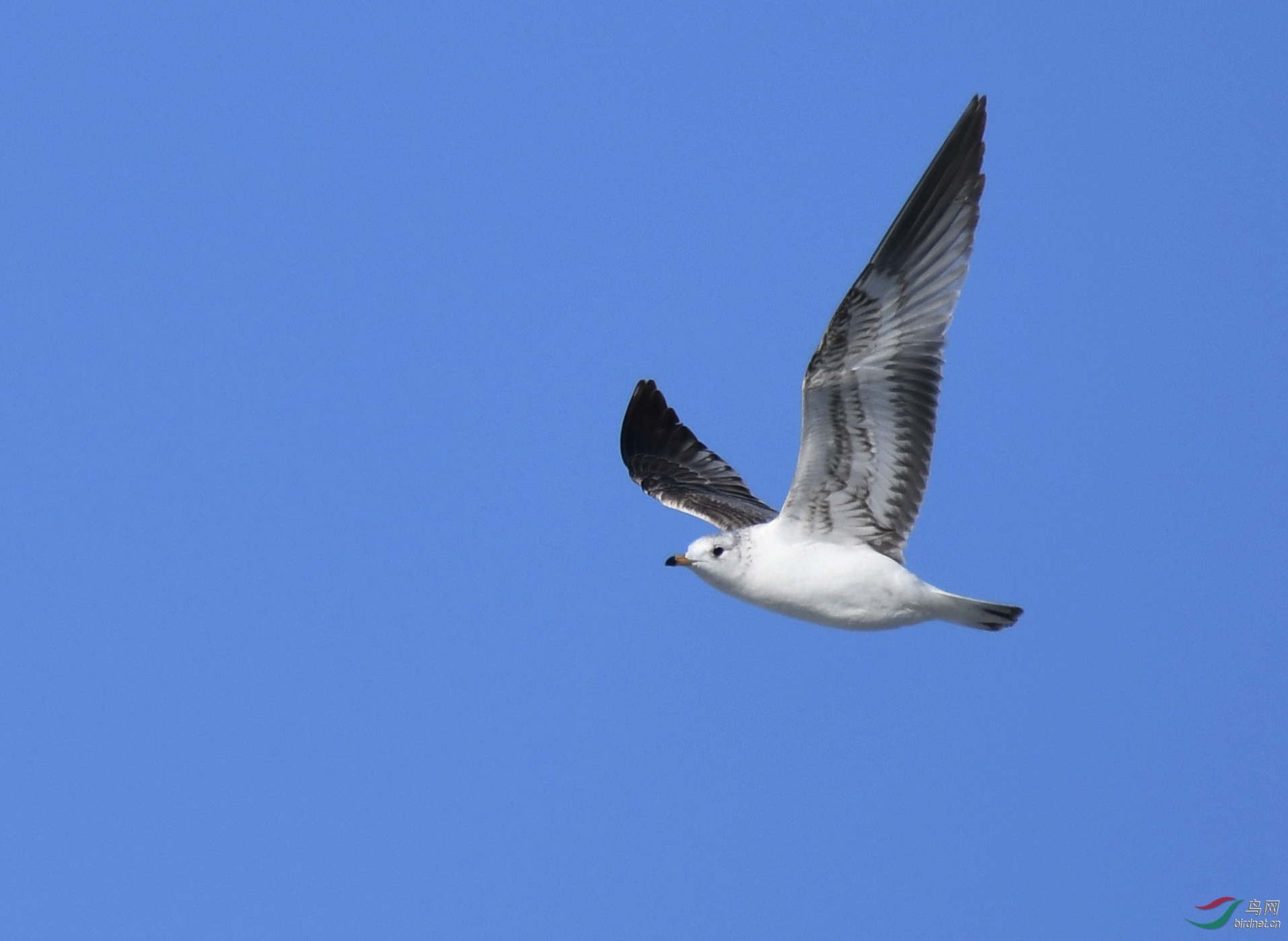 ������Ӱ 925����.jpg