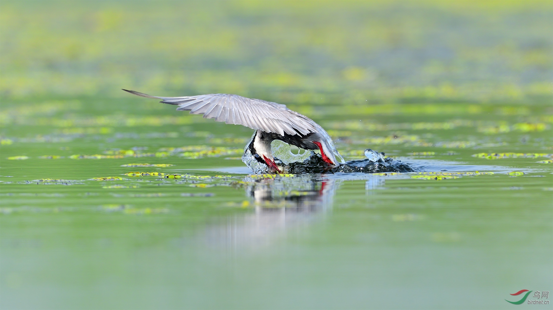 DSC_5675 �ϴ� ���ҽ���.jpg