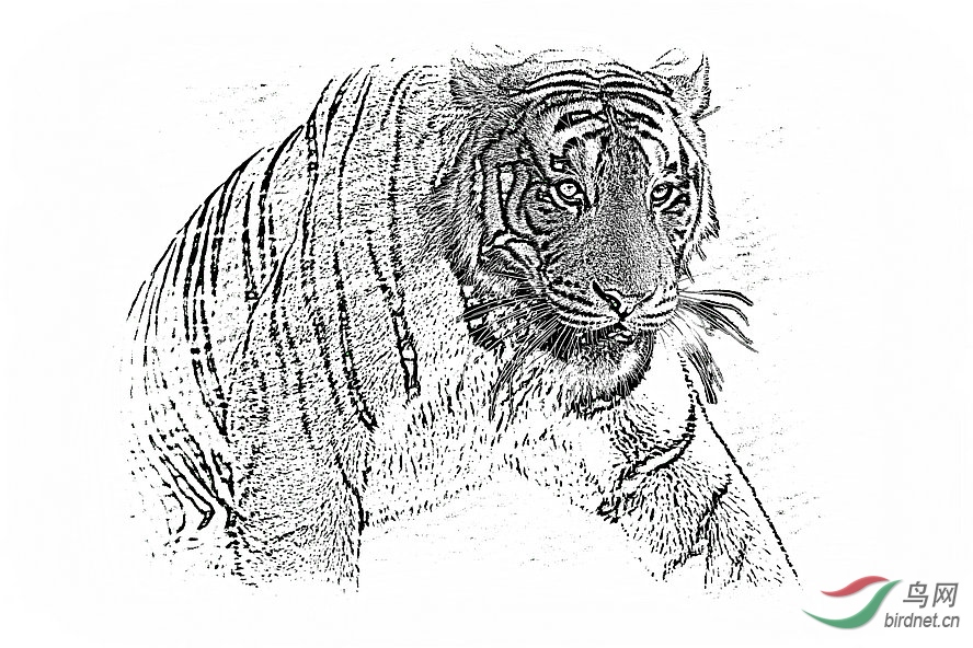 BW6I2391_����_����1_����.jpg