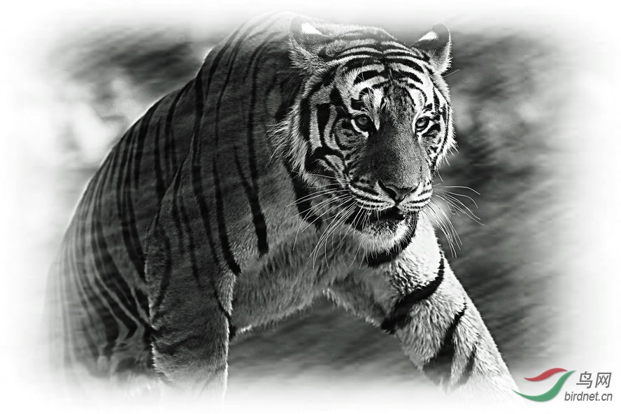 BW6I2391_����_����.jpg