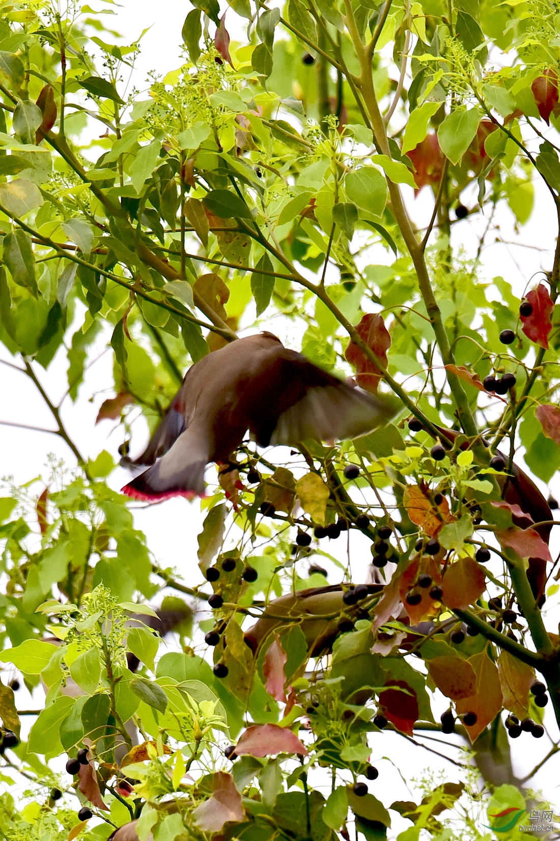 DSC_1182.JPG