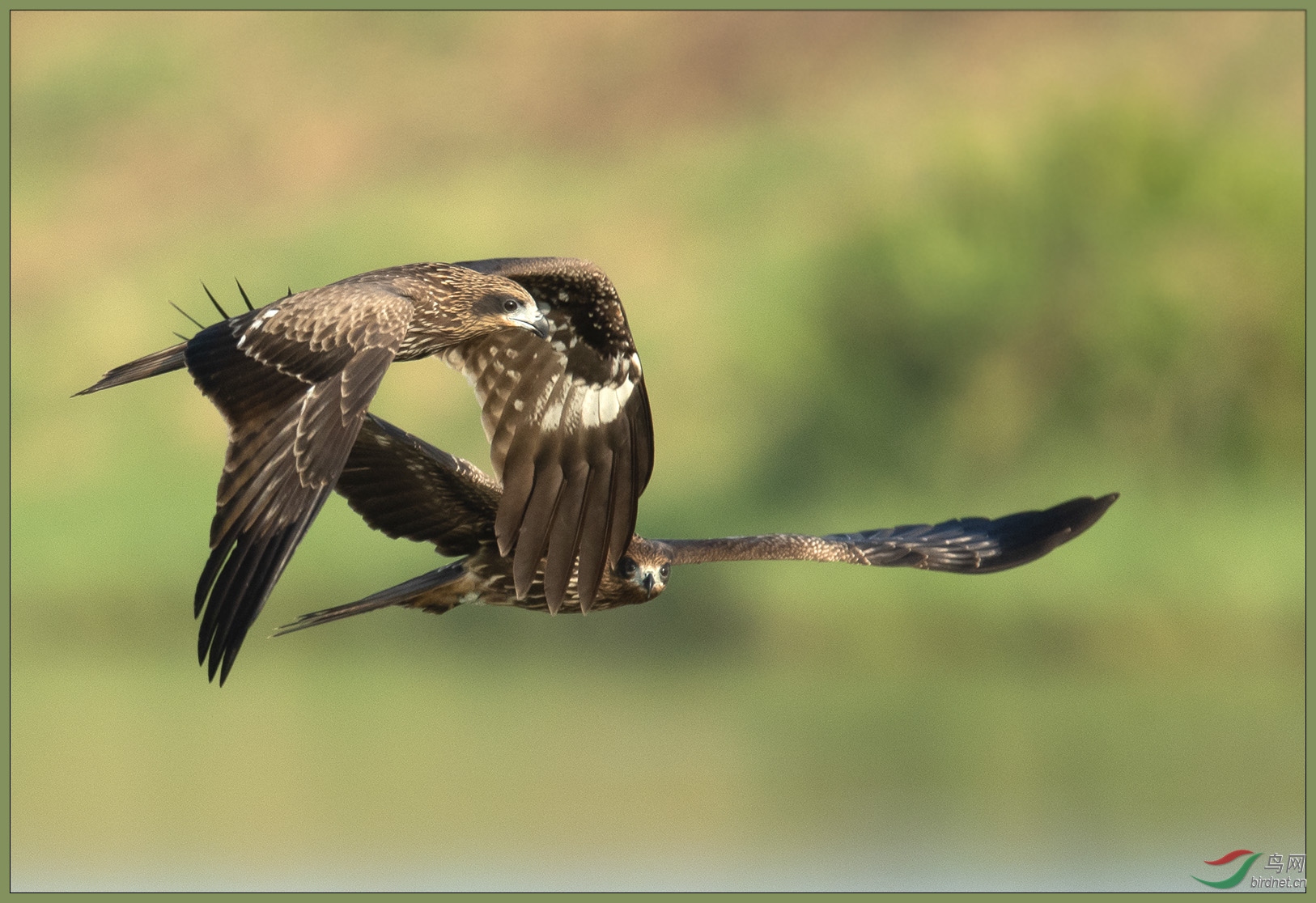 DSC_5190-1.jpg