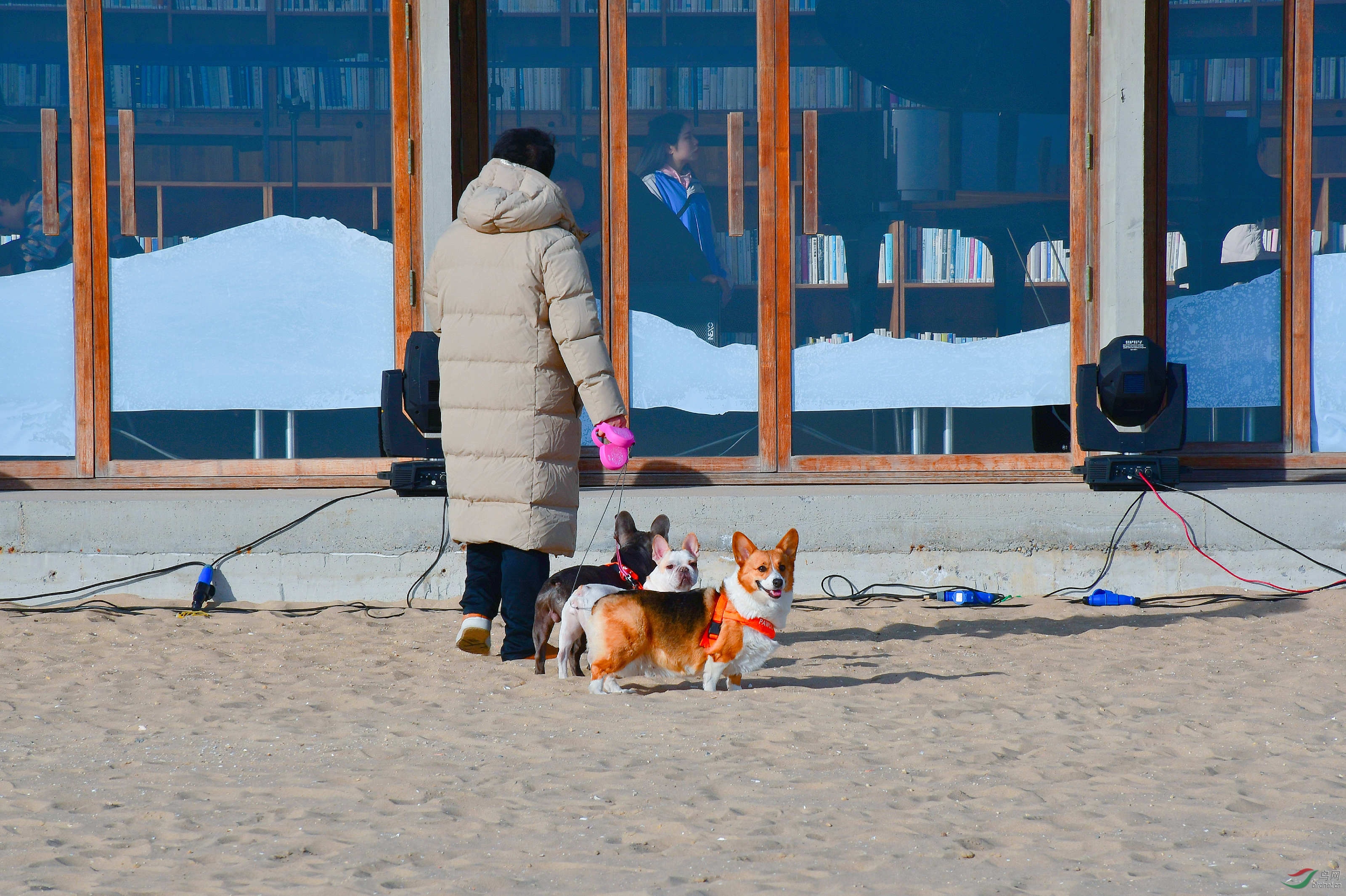 WeChat Image_20201117160515.jpg