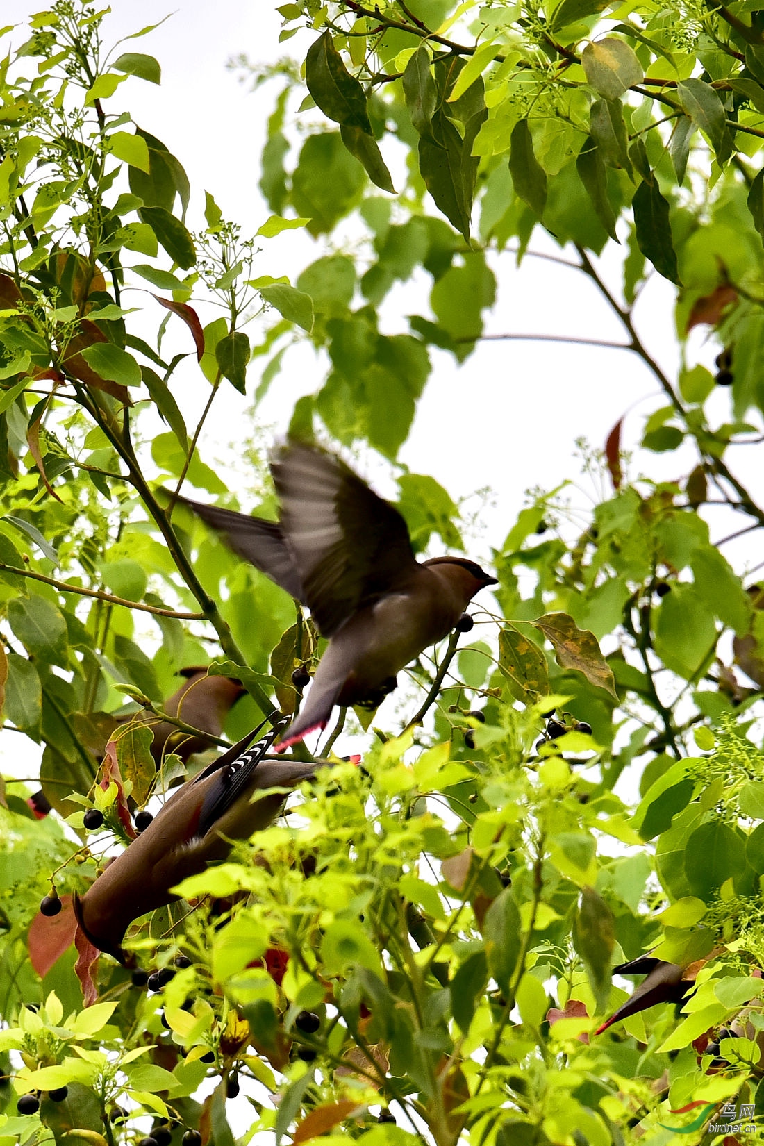 DSC_1189.JPG