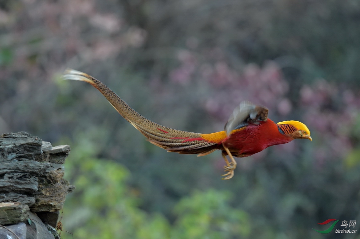 DSC_7342.JPG