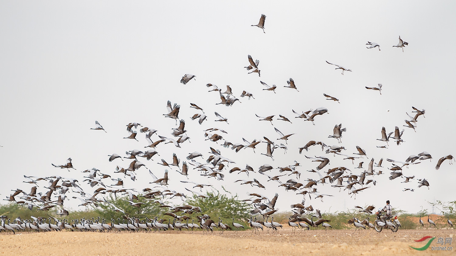 �����_MG_7790-01