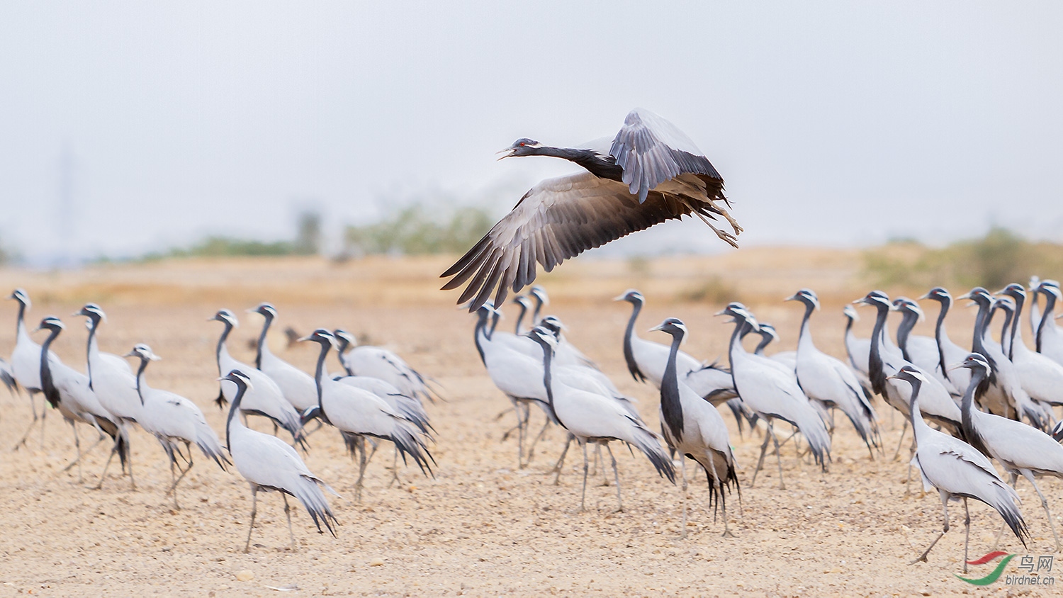 �����_MG_7651-01