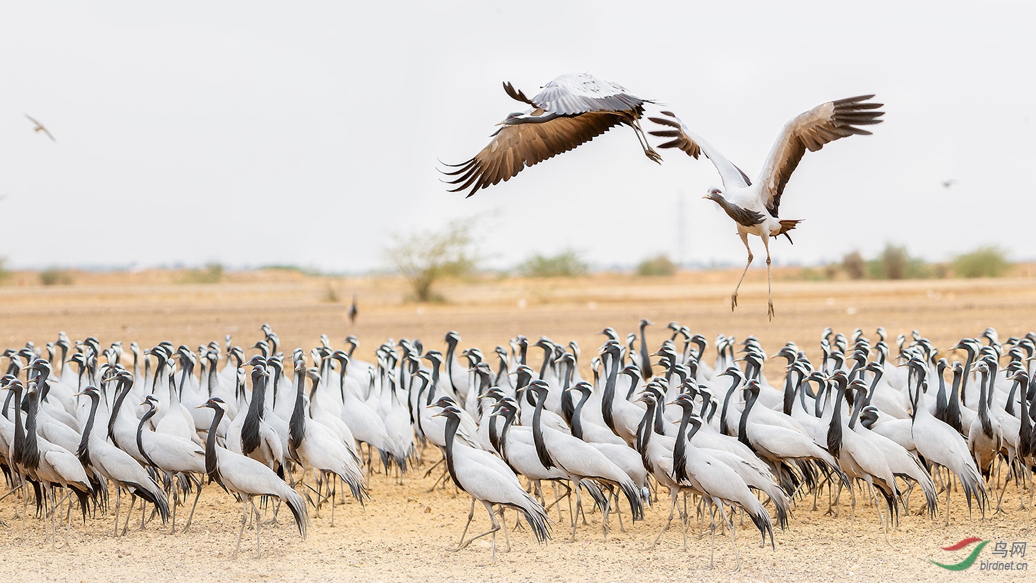 �����_MG_7678-01