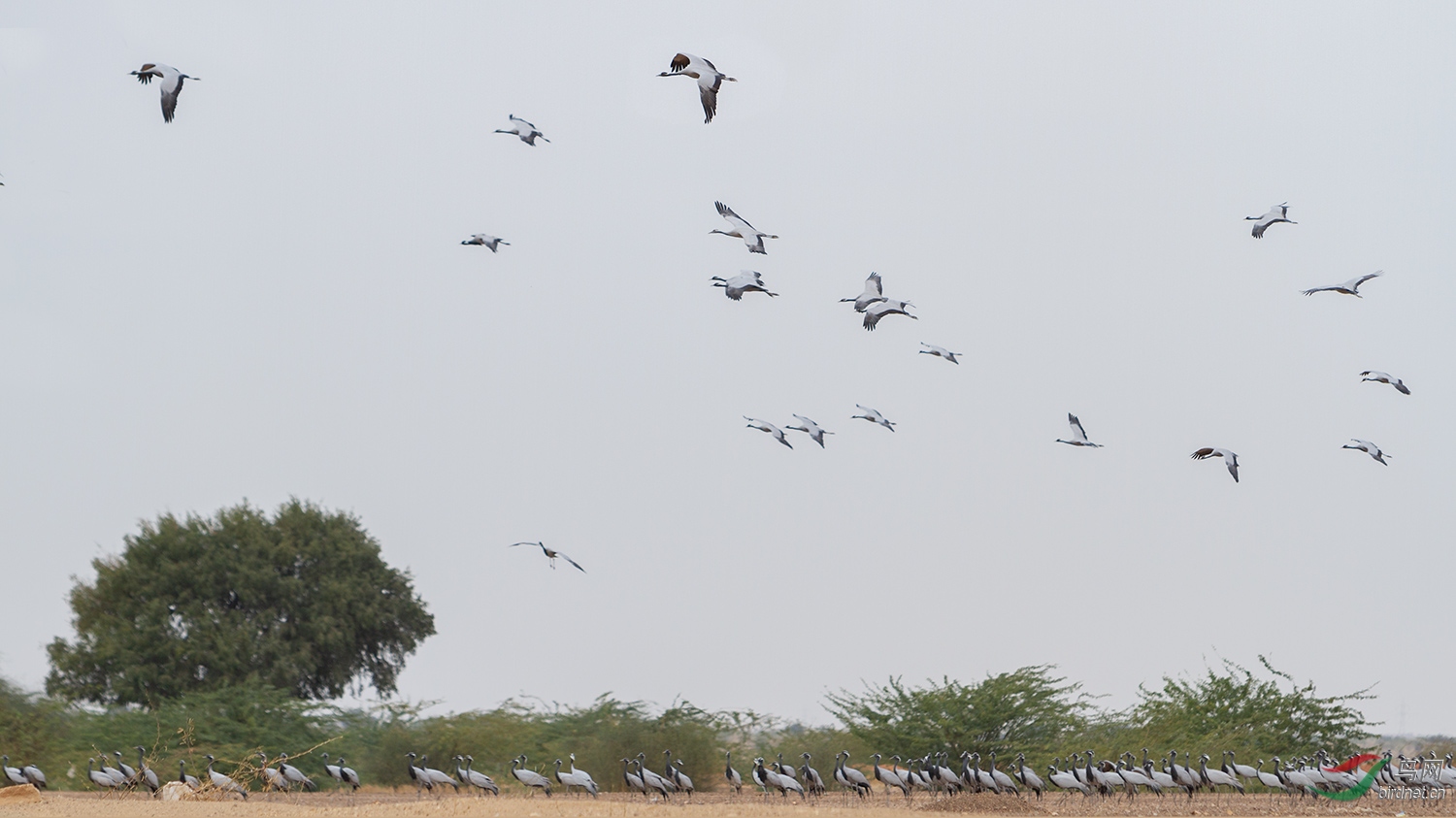 �����_MG_7776-01