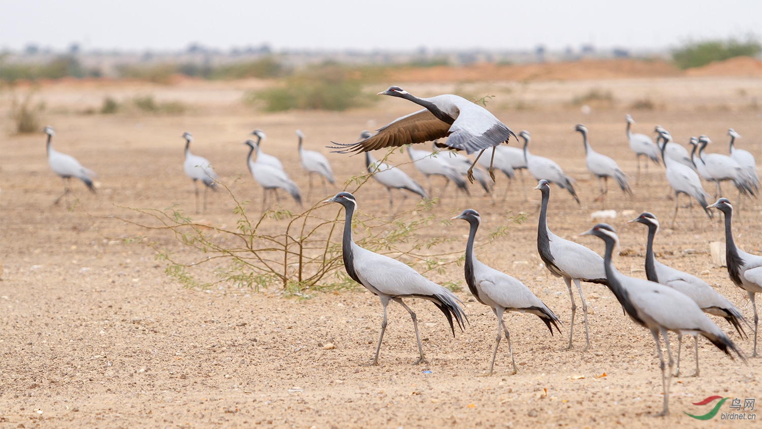 �����_MG_7730-01