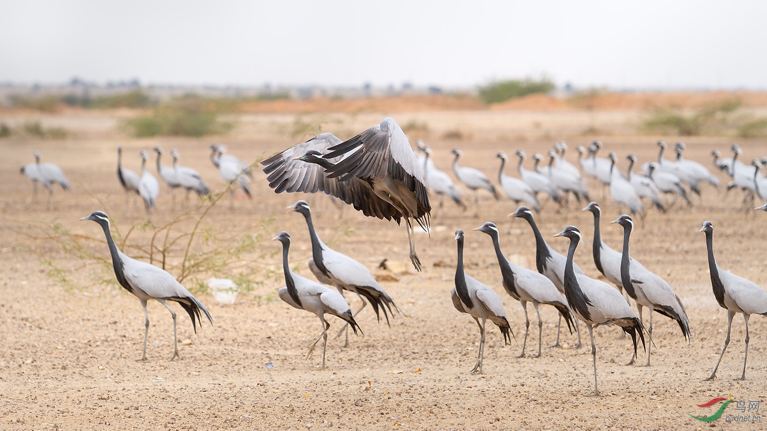 �����_MG_7739-01