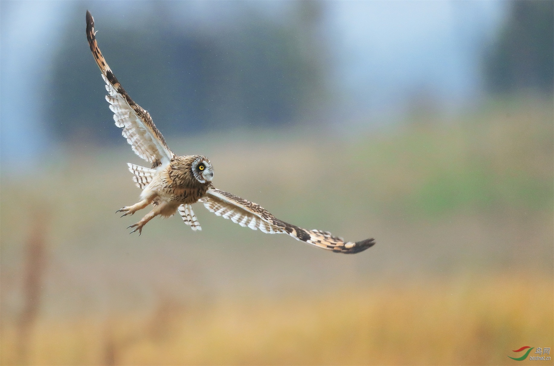 1 - ����.JPG