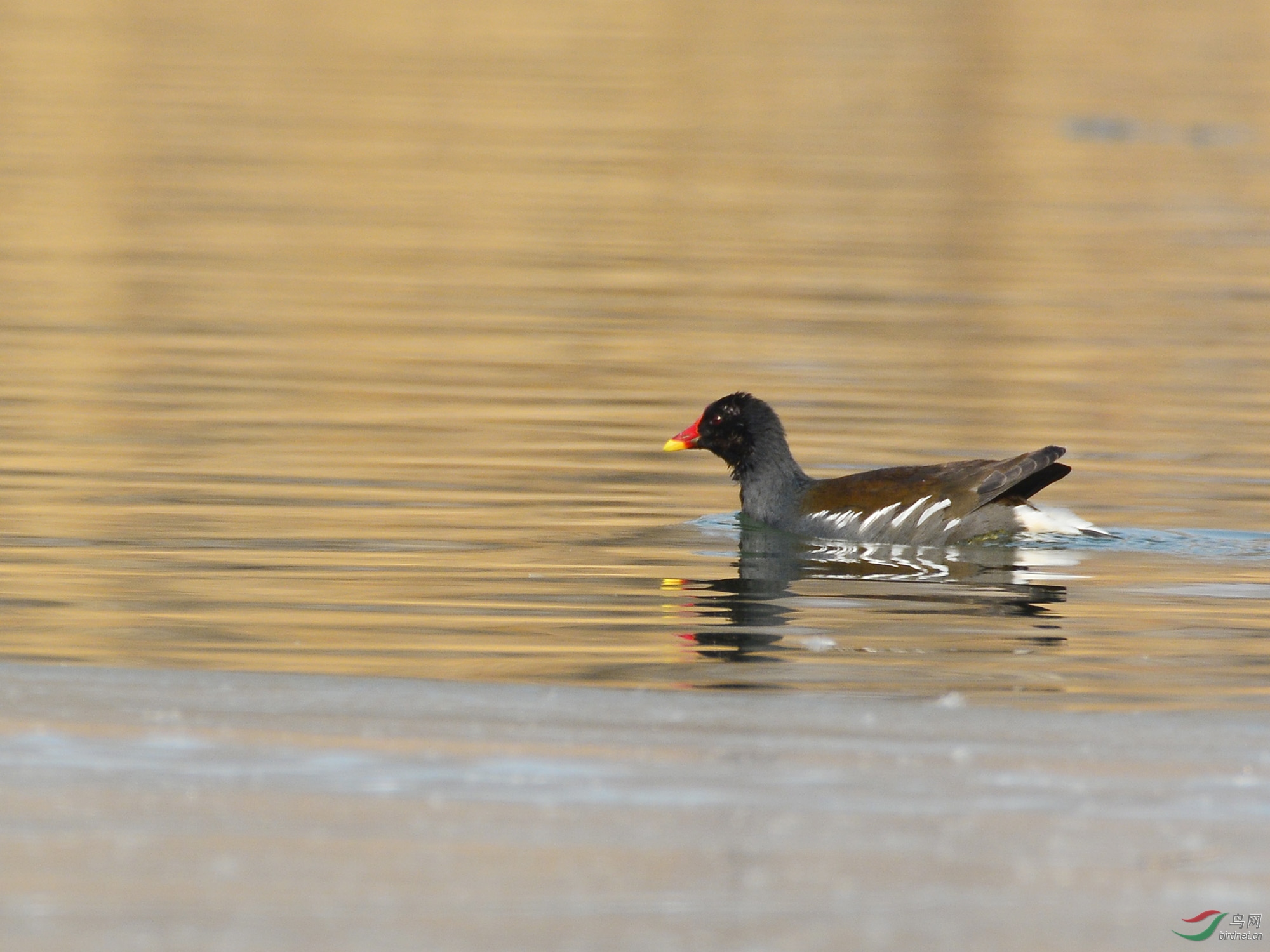 ������Ӱ 482����.jpg