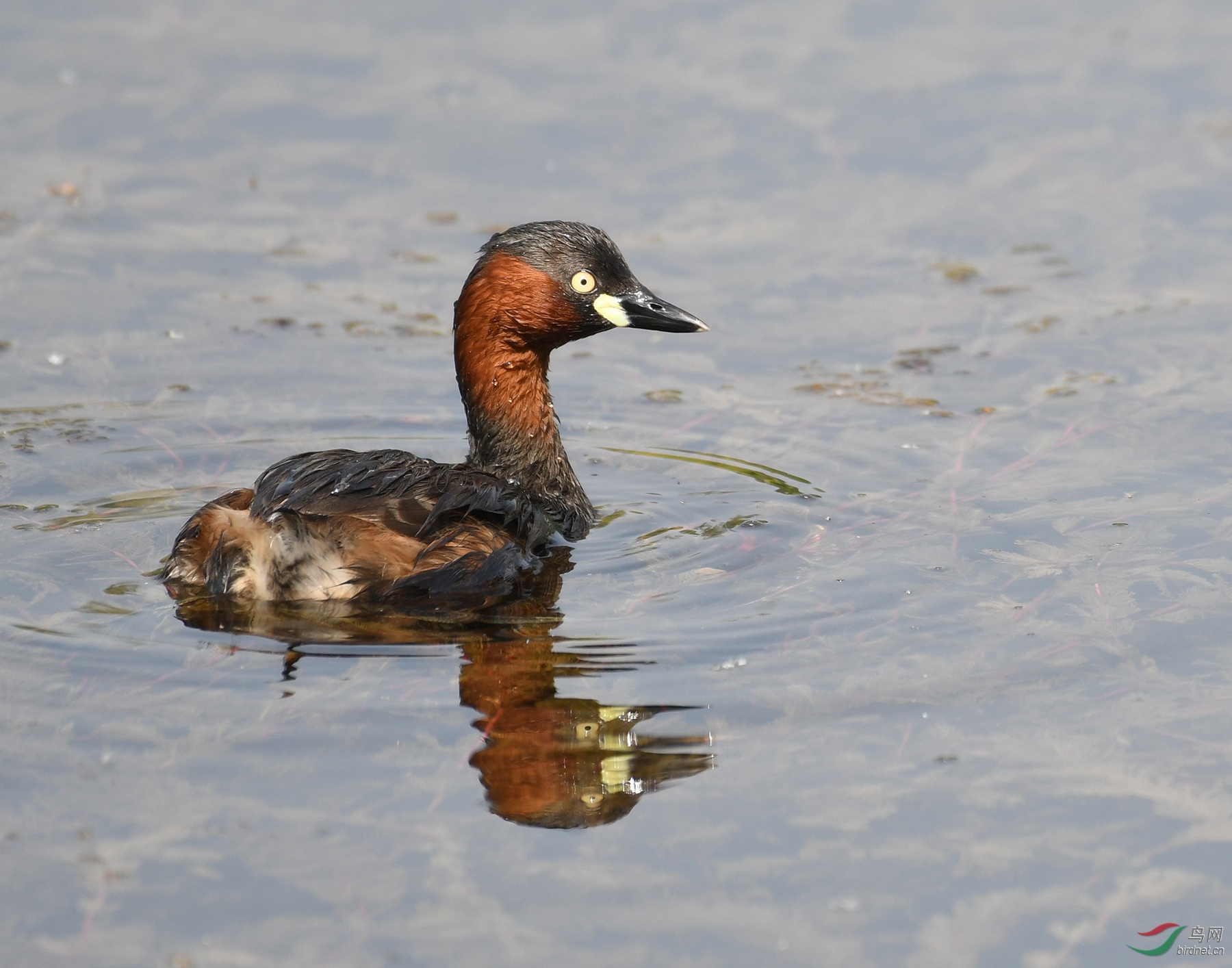 ������Ӱ 5791����.jpg