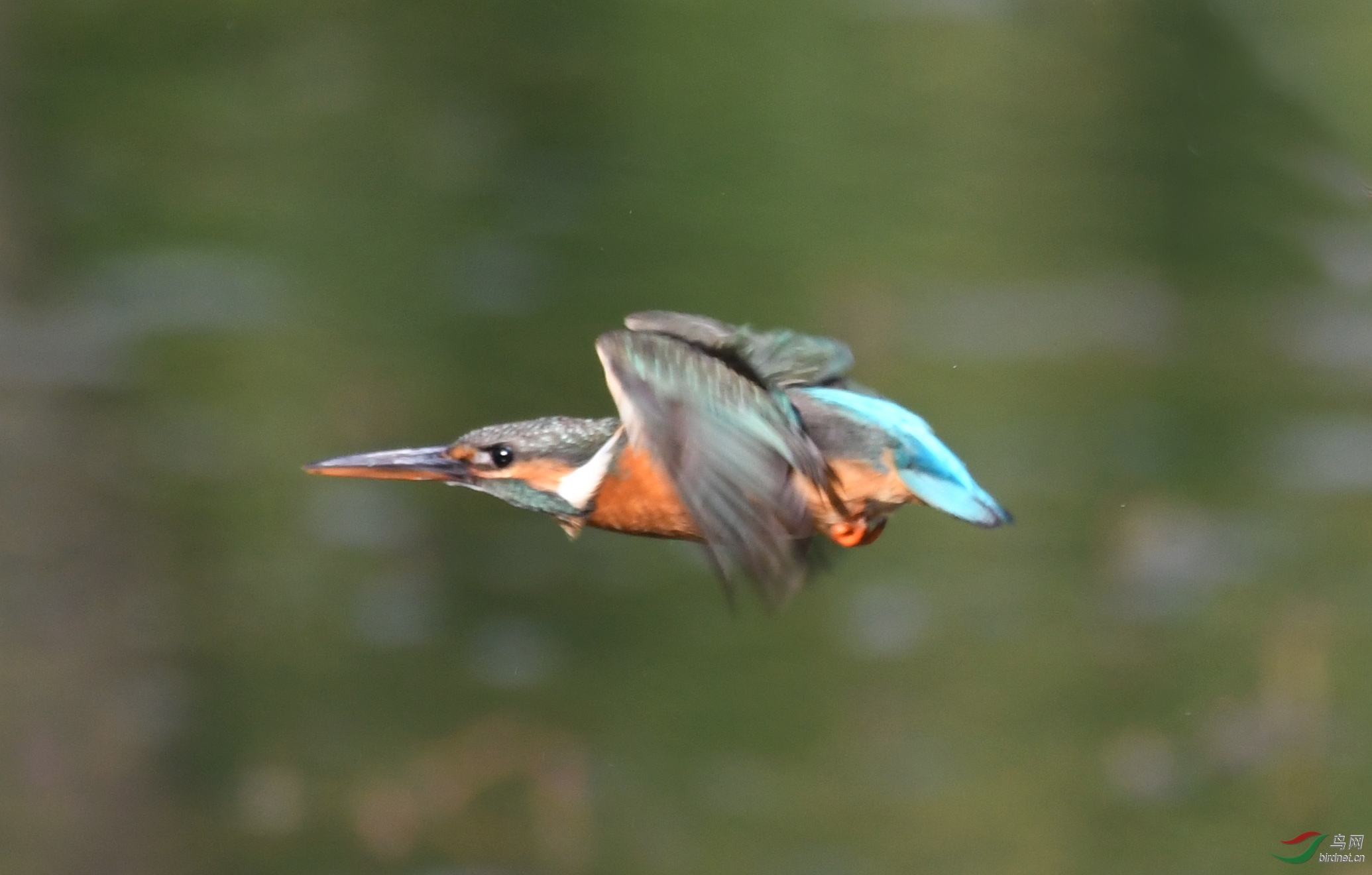 ������Ӱ 6289����.jpg