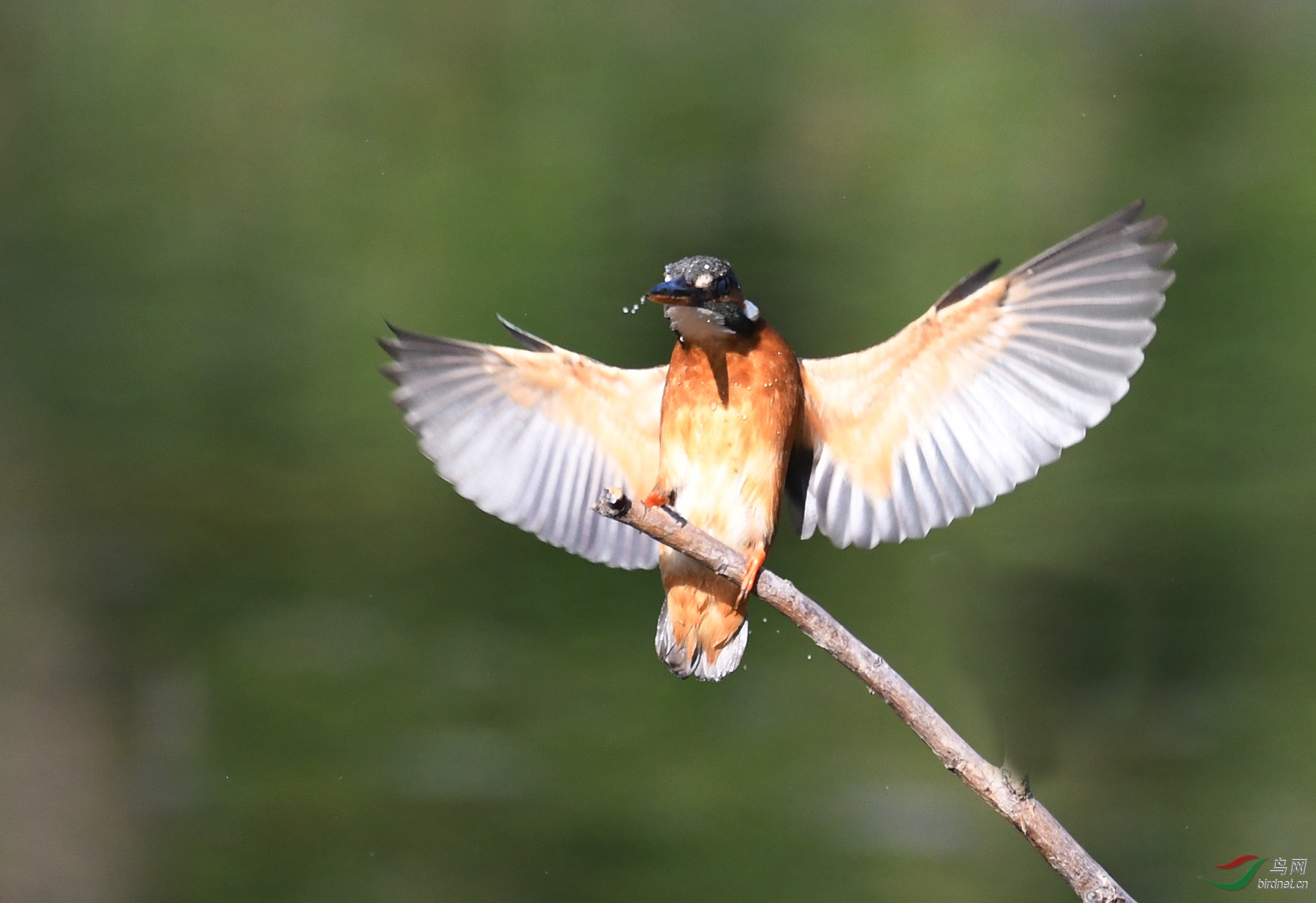 ������Ӱ 6302����.jpg