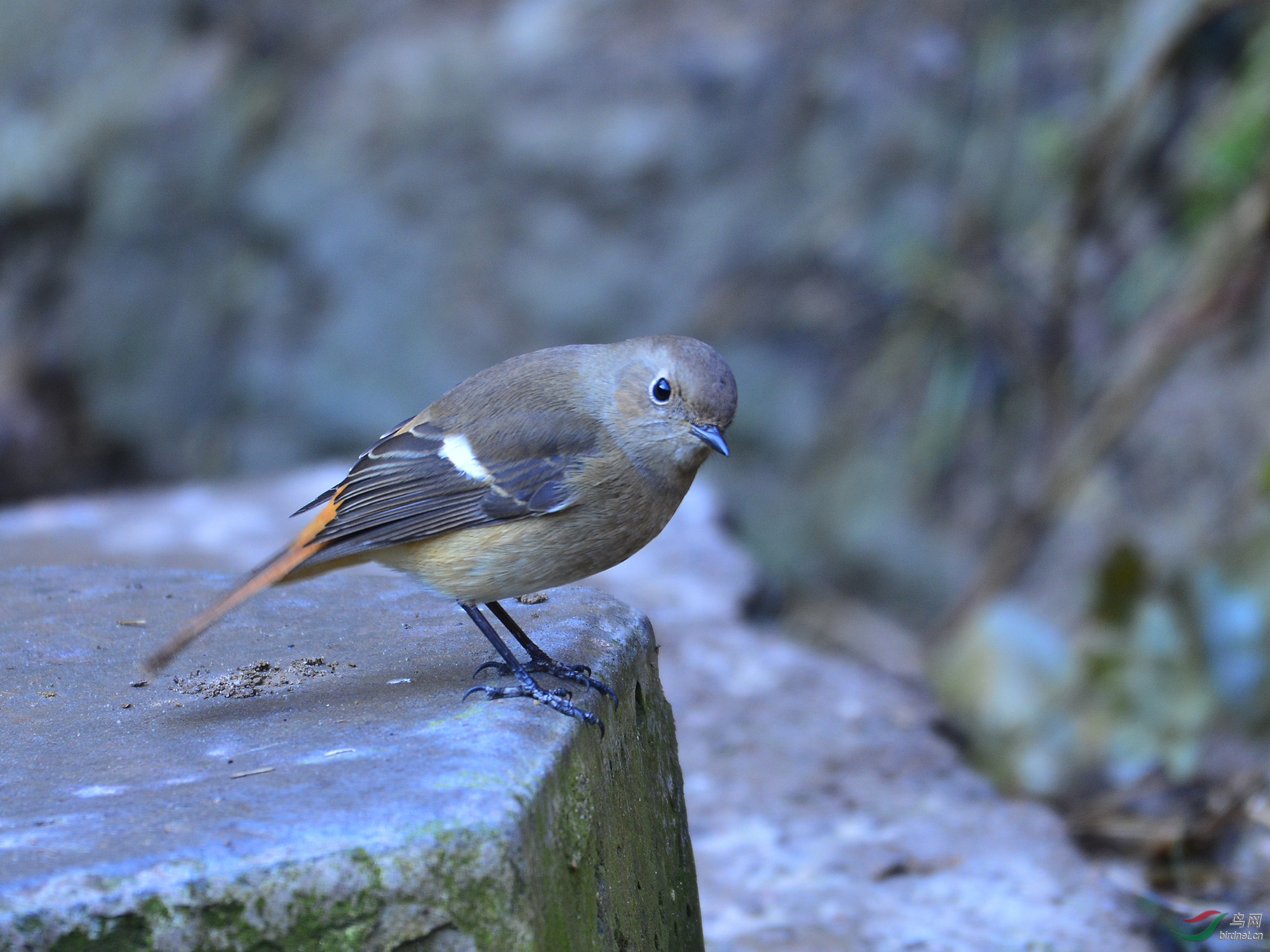 ������Ӱ 610����.jpg