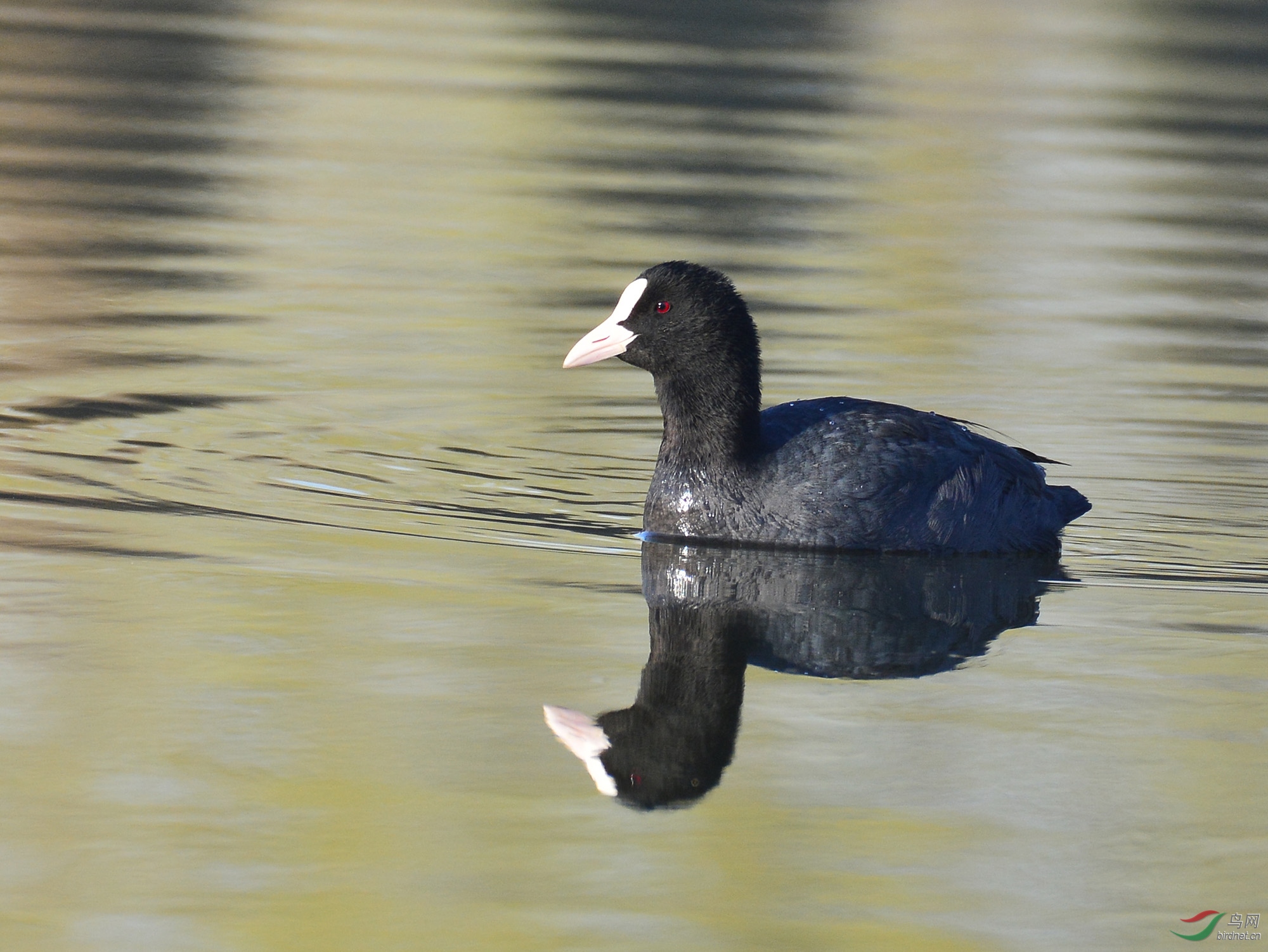 ������Ӱ 051����.jpg