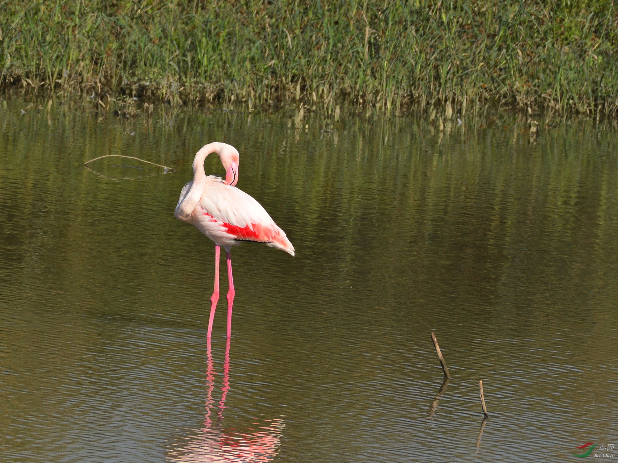 ������Ӱ 776����.jpg