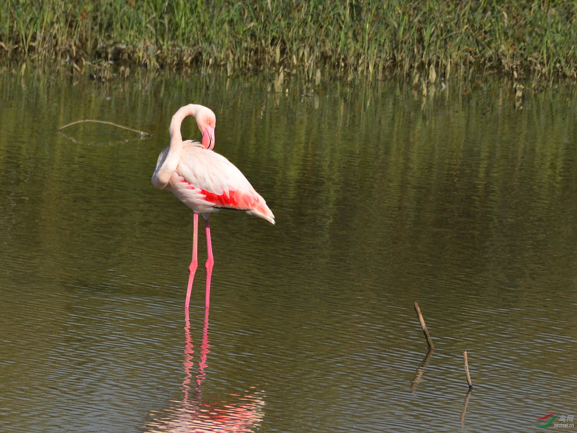 ������Ӱ 777����.jpg