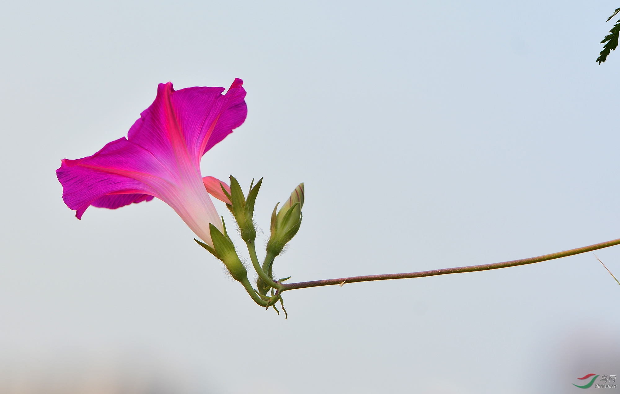 ������Ӱ 058����.jpg