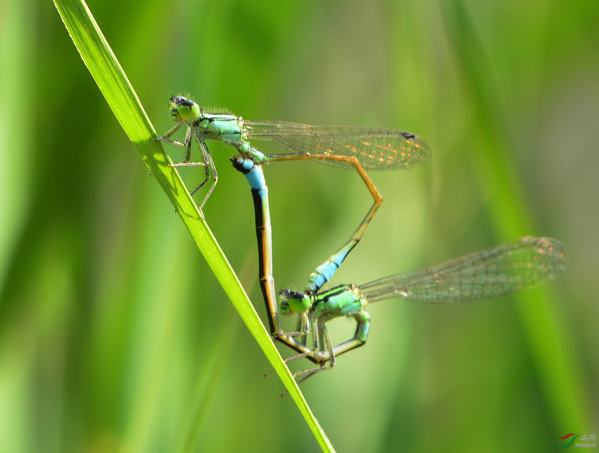 ������Ӱ 1377����.jpg