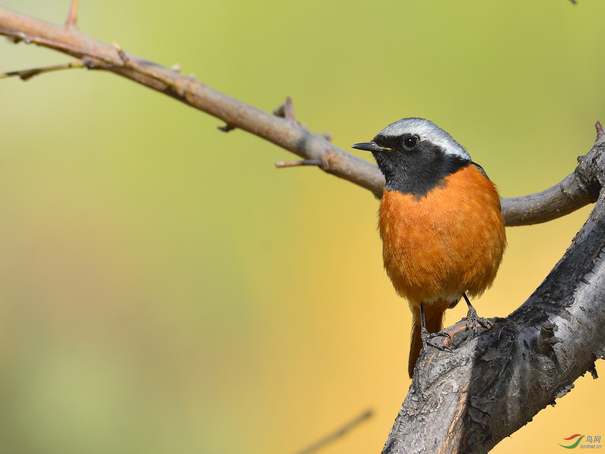 ������Ӱ 540����.jpg