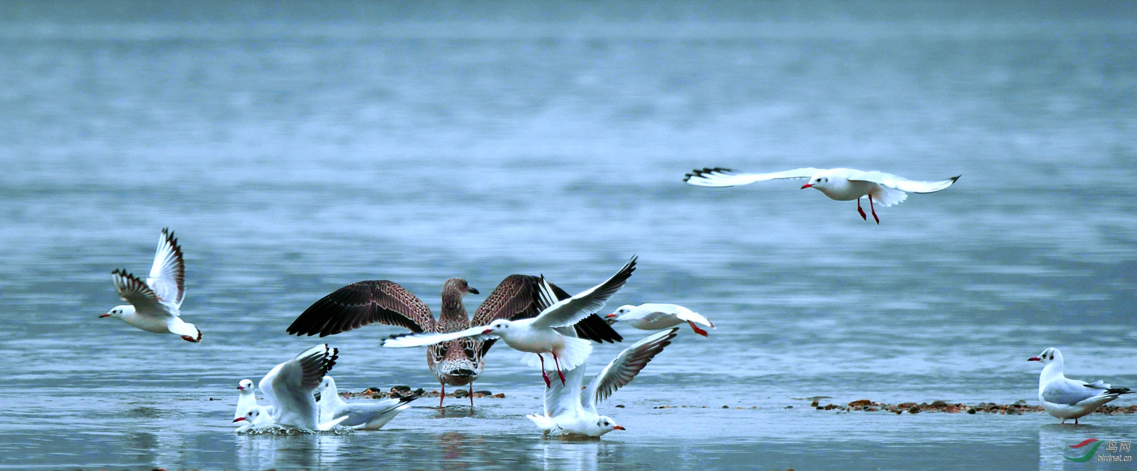DSC_3980.jpg