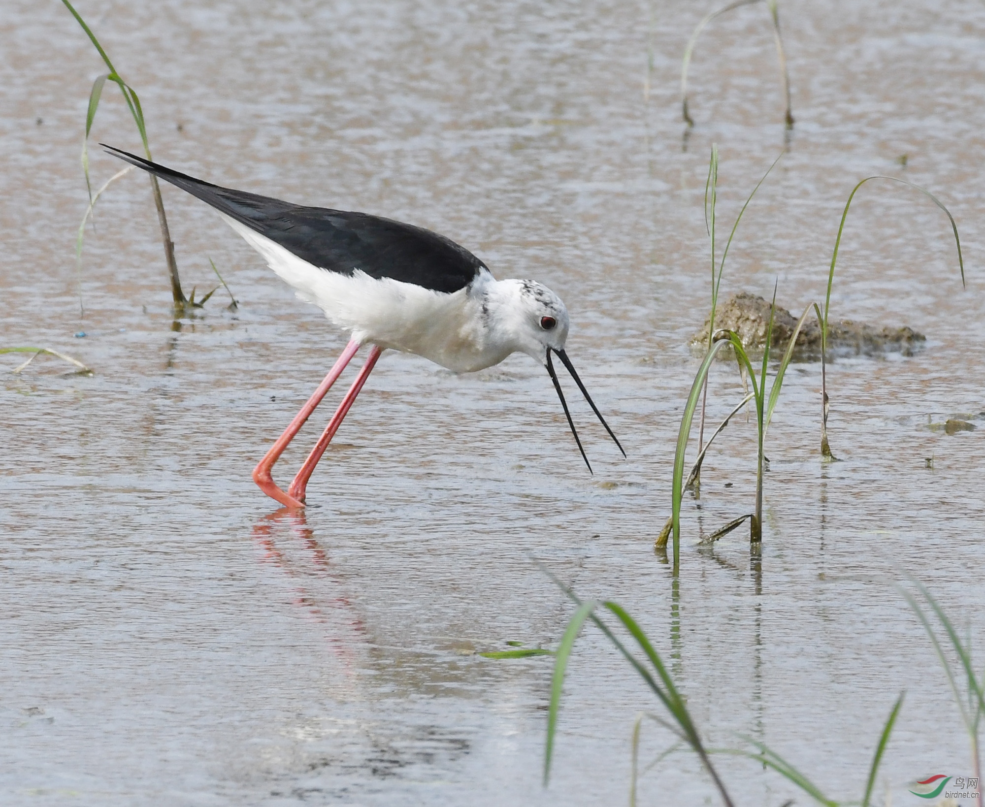 ������Ӱ 156����.jpg