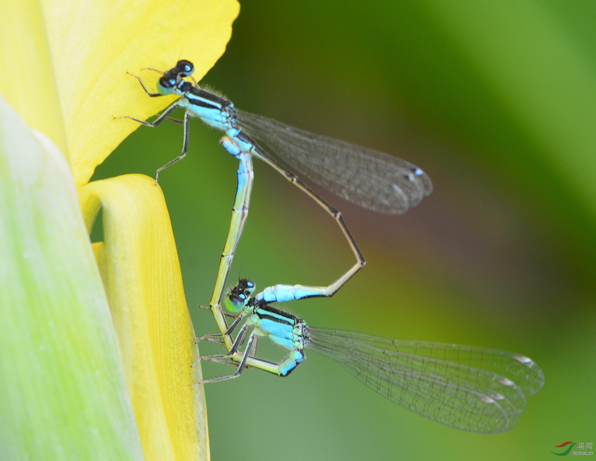 ������Ӱ 2590����.jpg