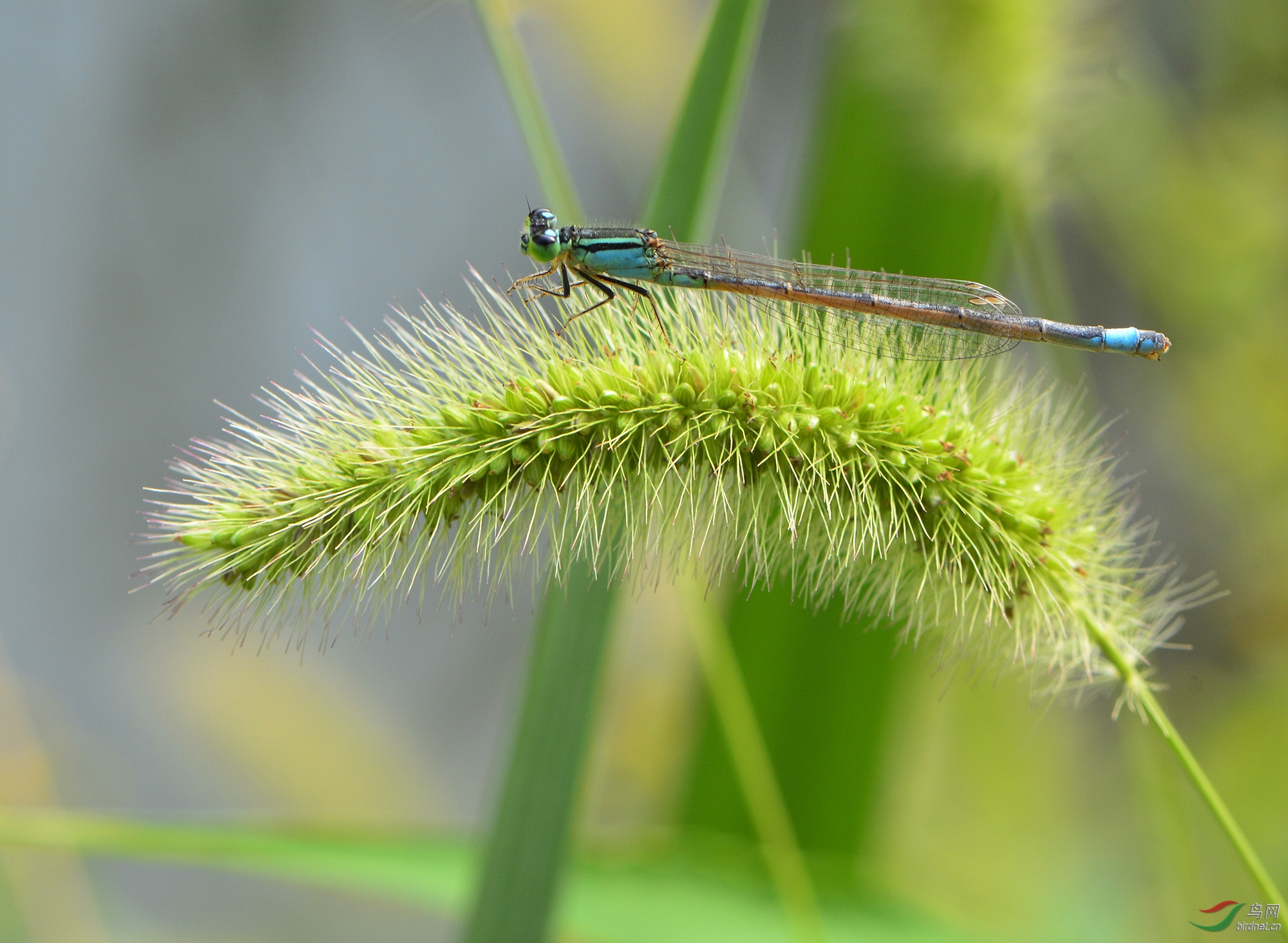 ������Ӱ 2920����.jpg