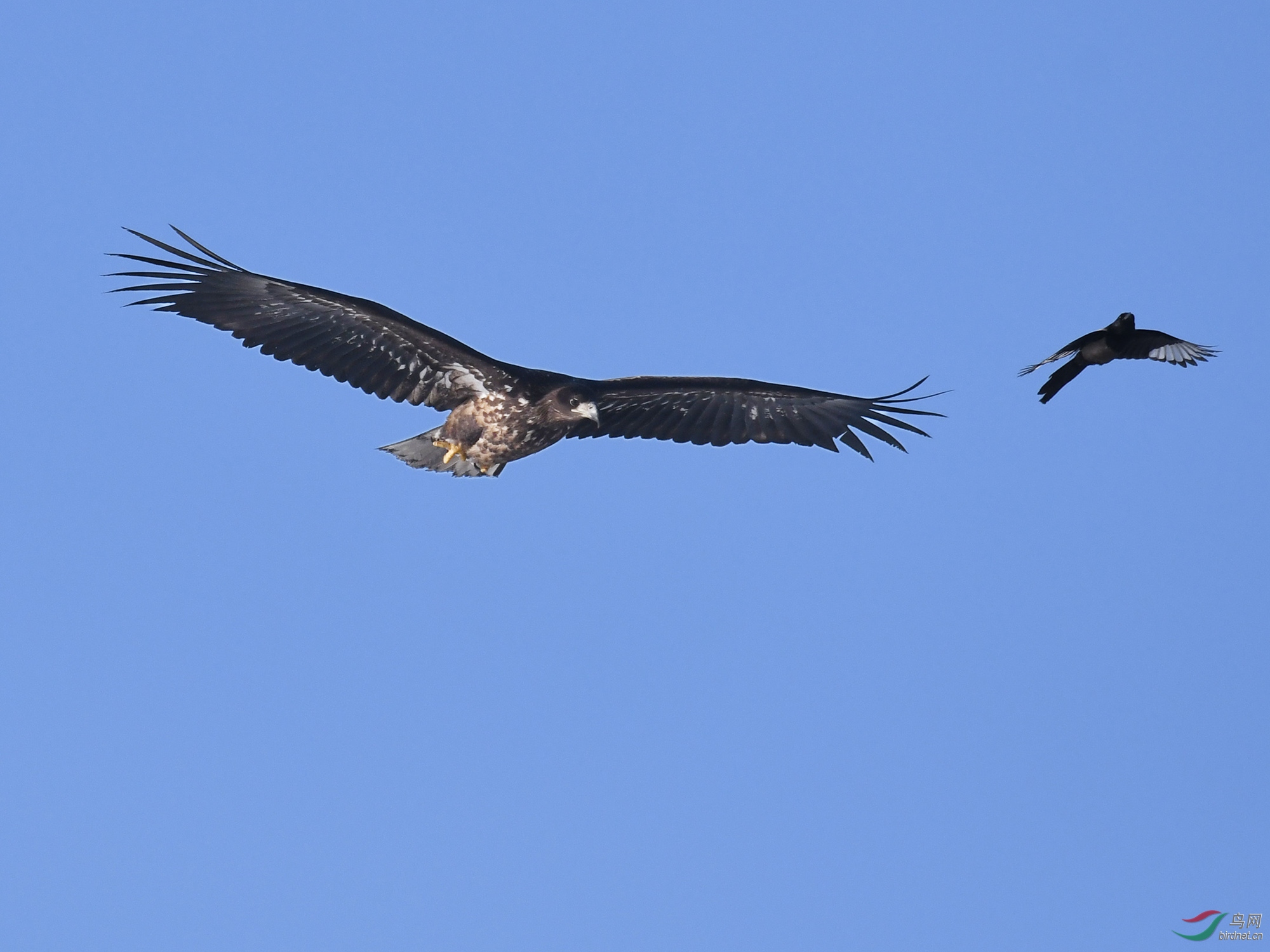 ������Ӱ 060����.jpg