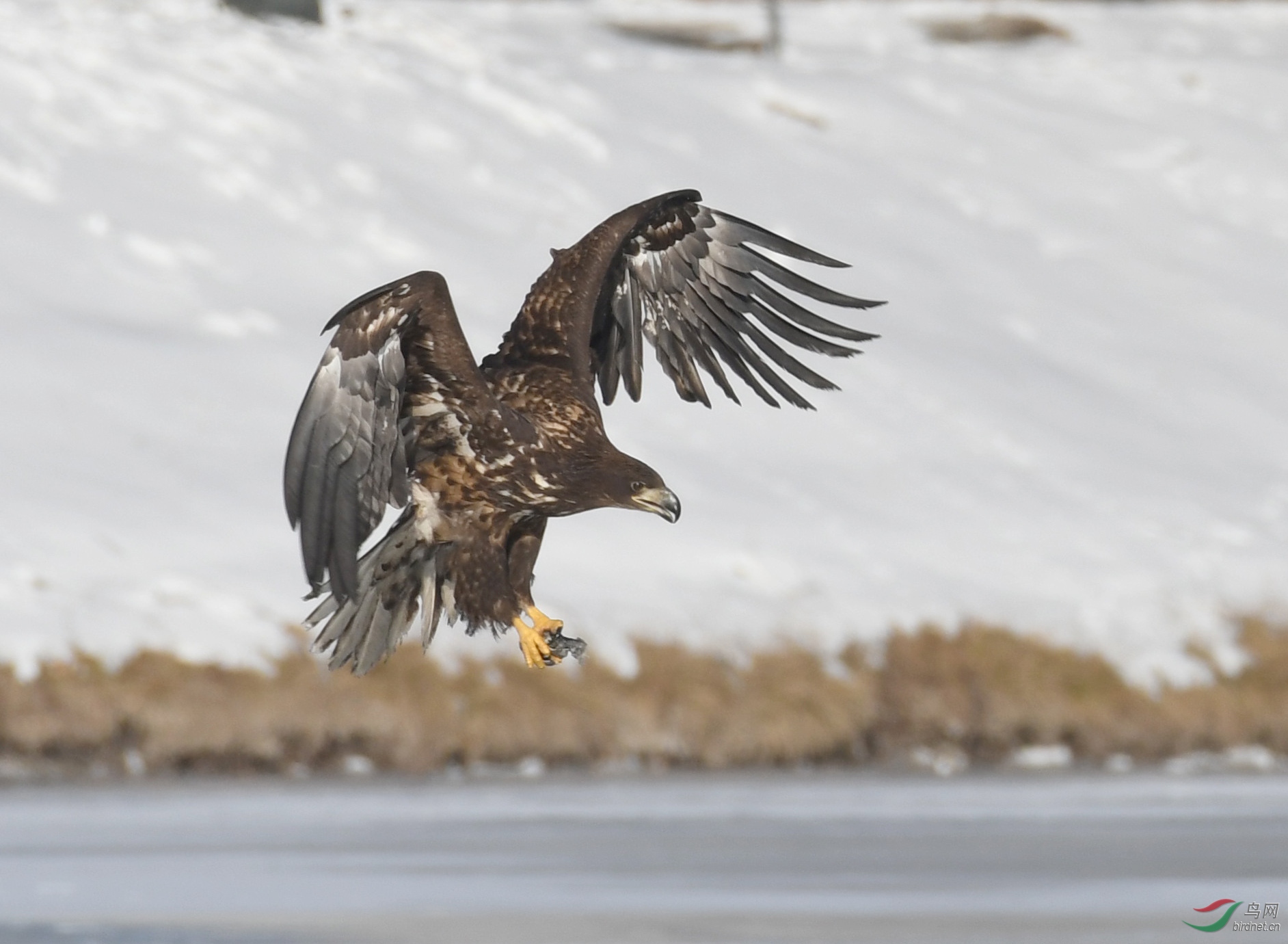 ������Ӱ 224����.jpg