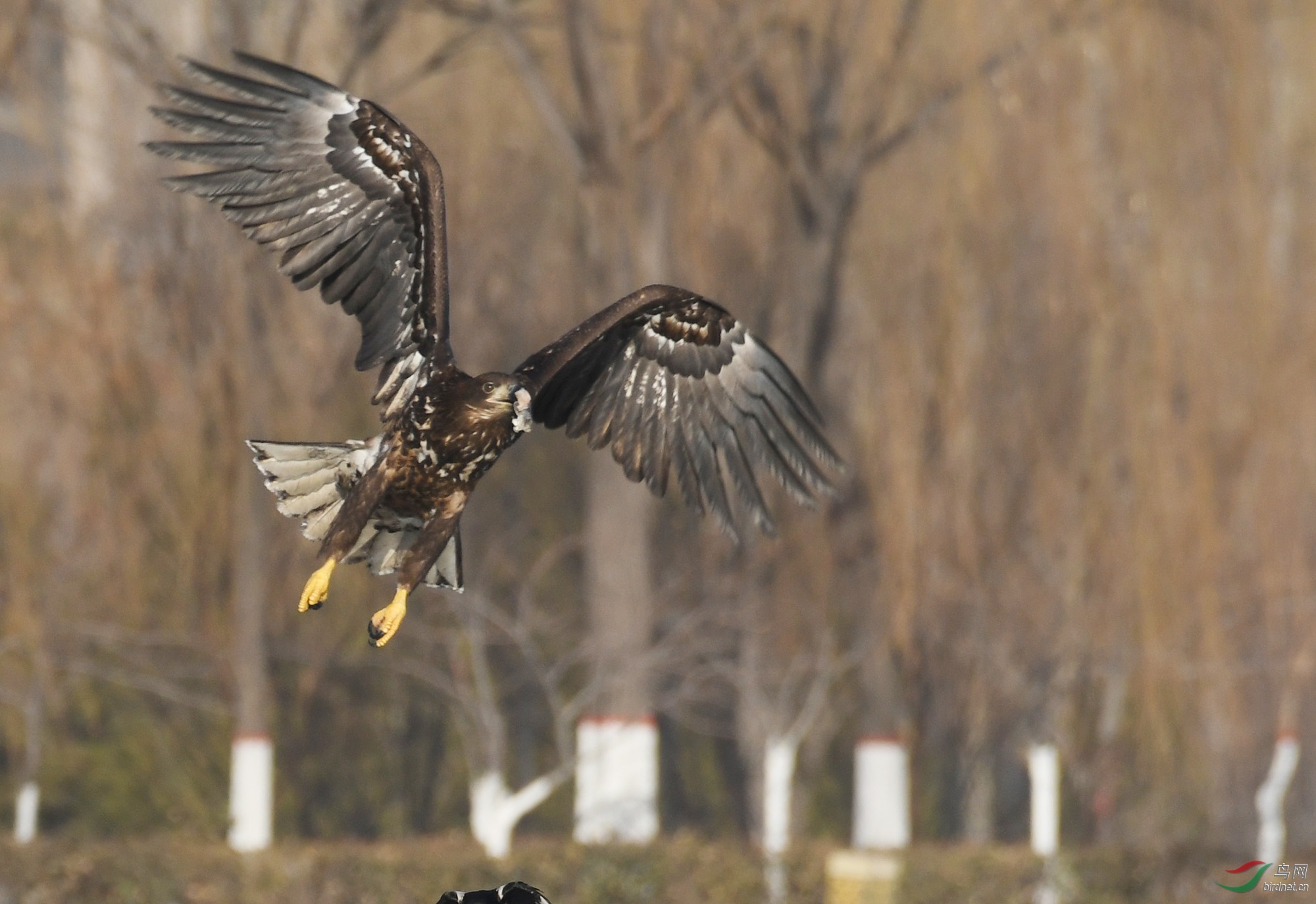 ������Ӱ 330����.jpg