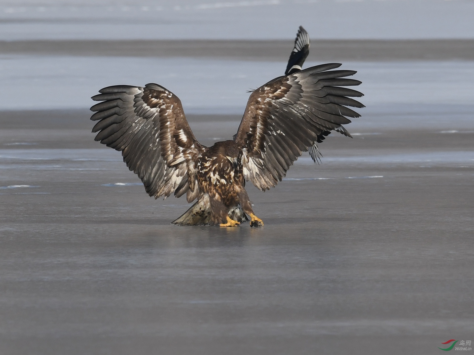 ������Ӱ 238����.jpg