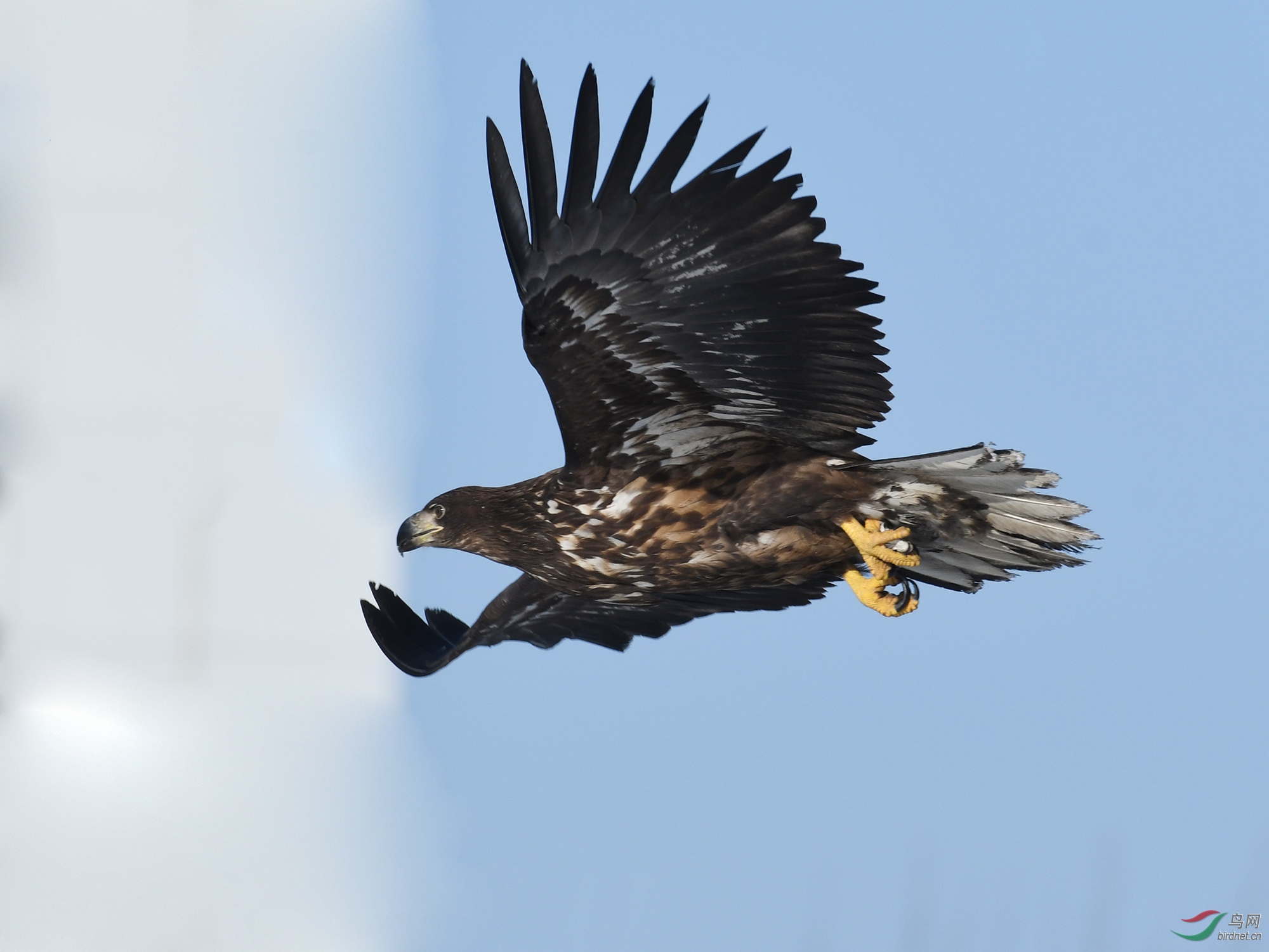 ������Ӱ 361����.jpg