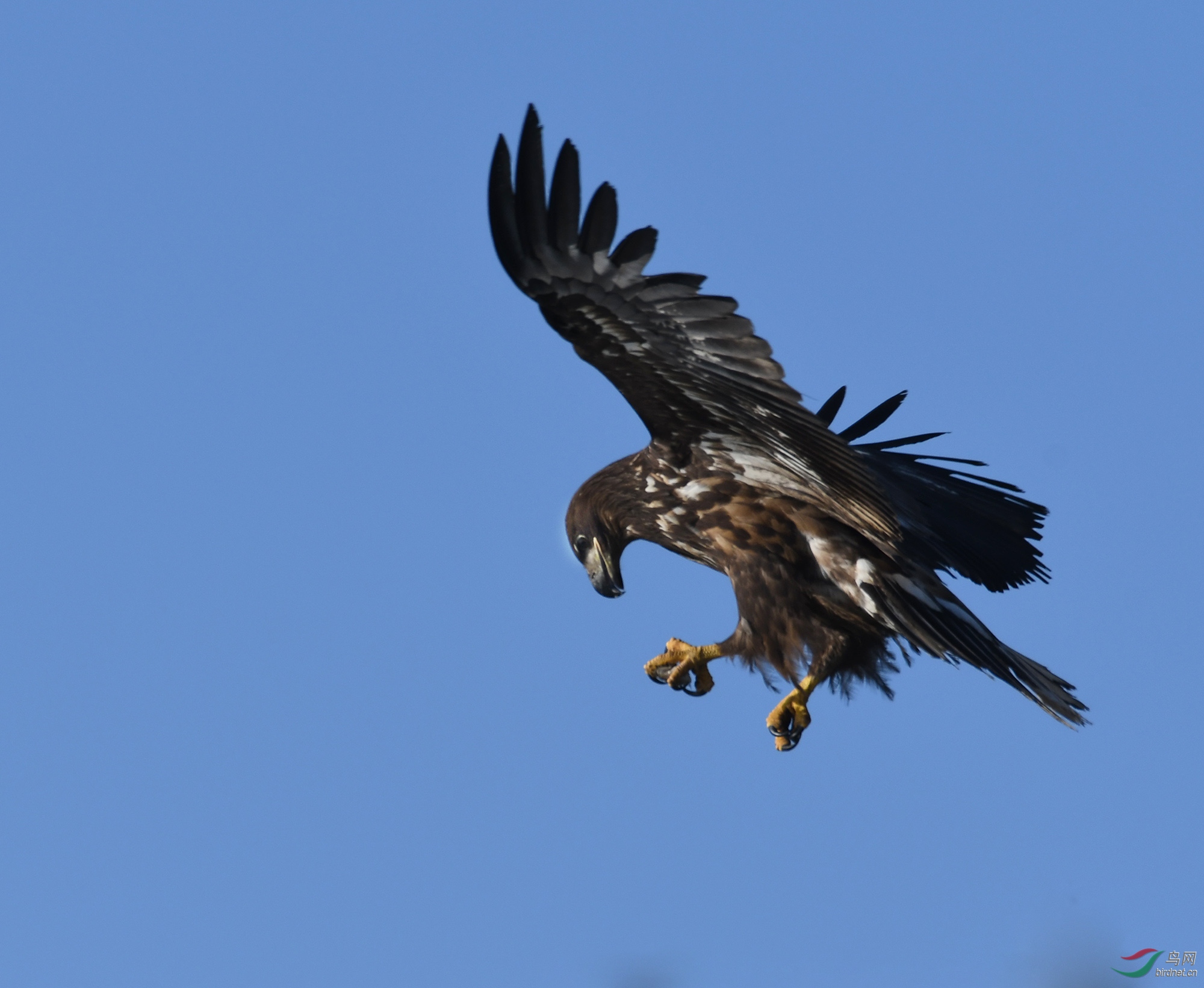 ������Ӱ 373����.jpg