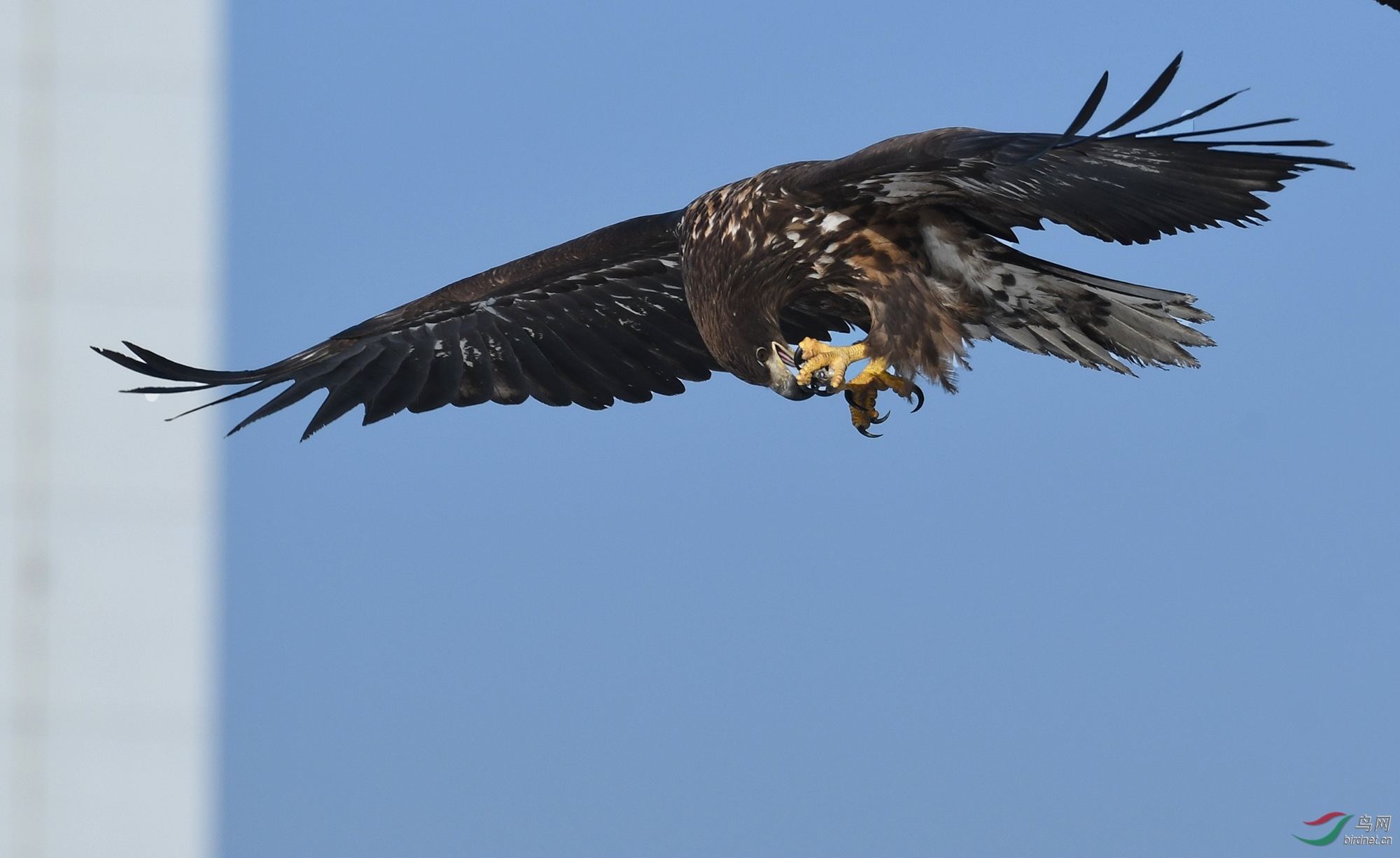 ������Ӱ 354����.jpg