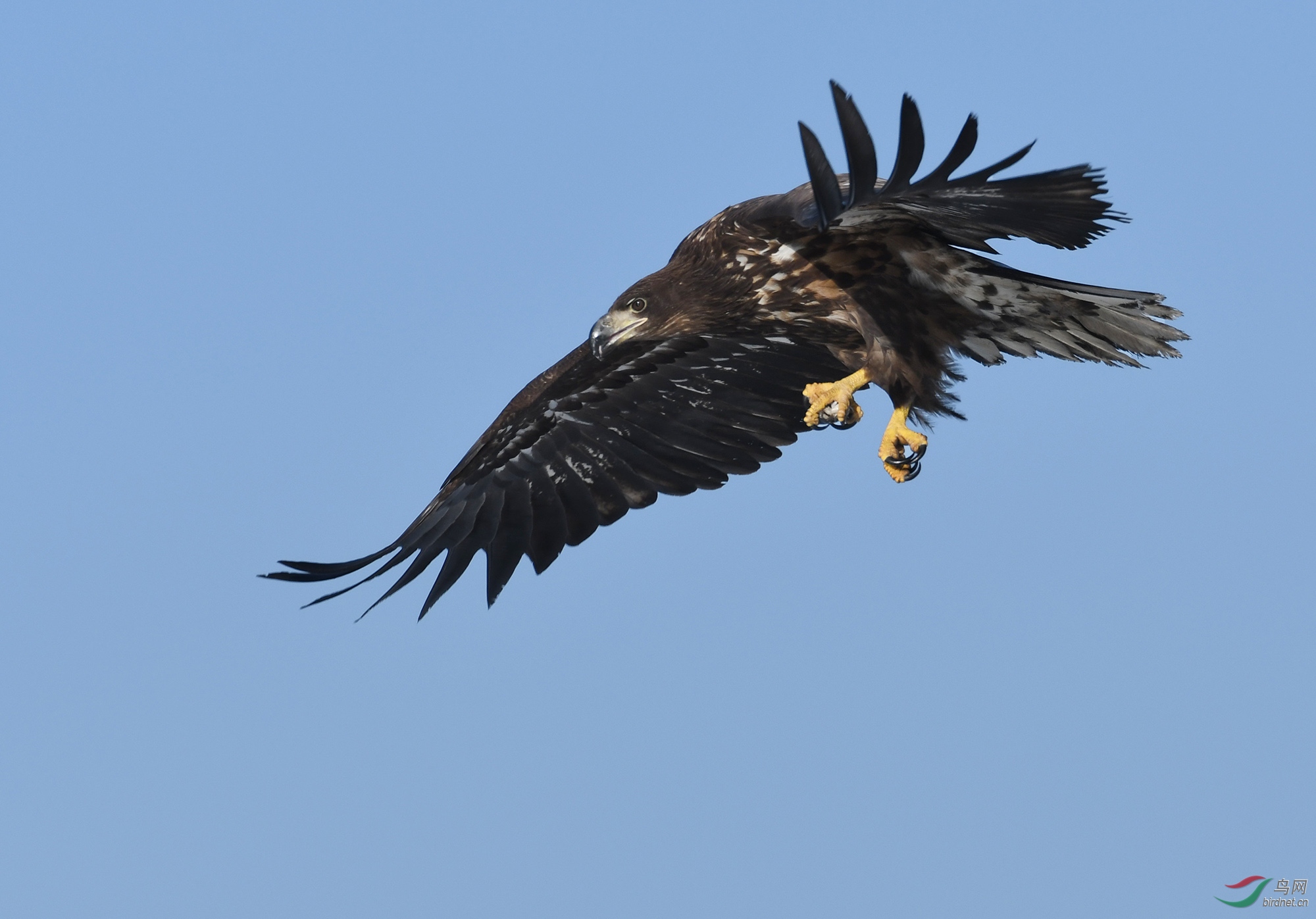 ������Ӱ 359����.jpg