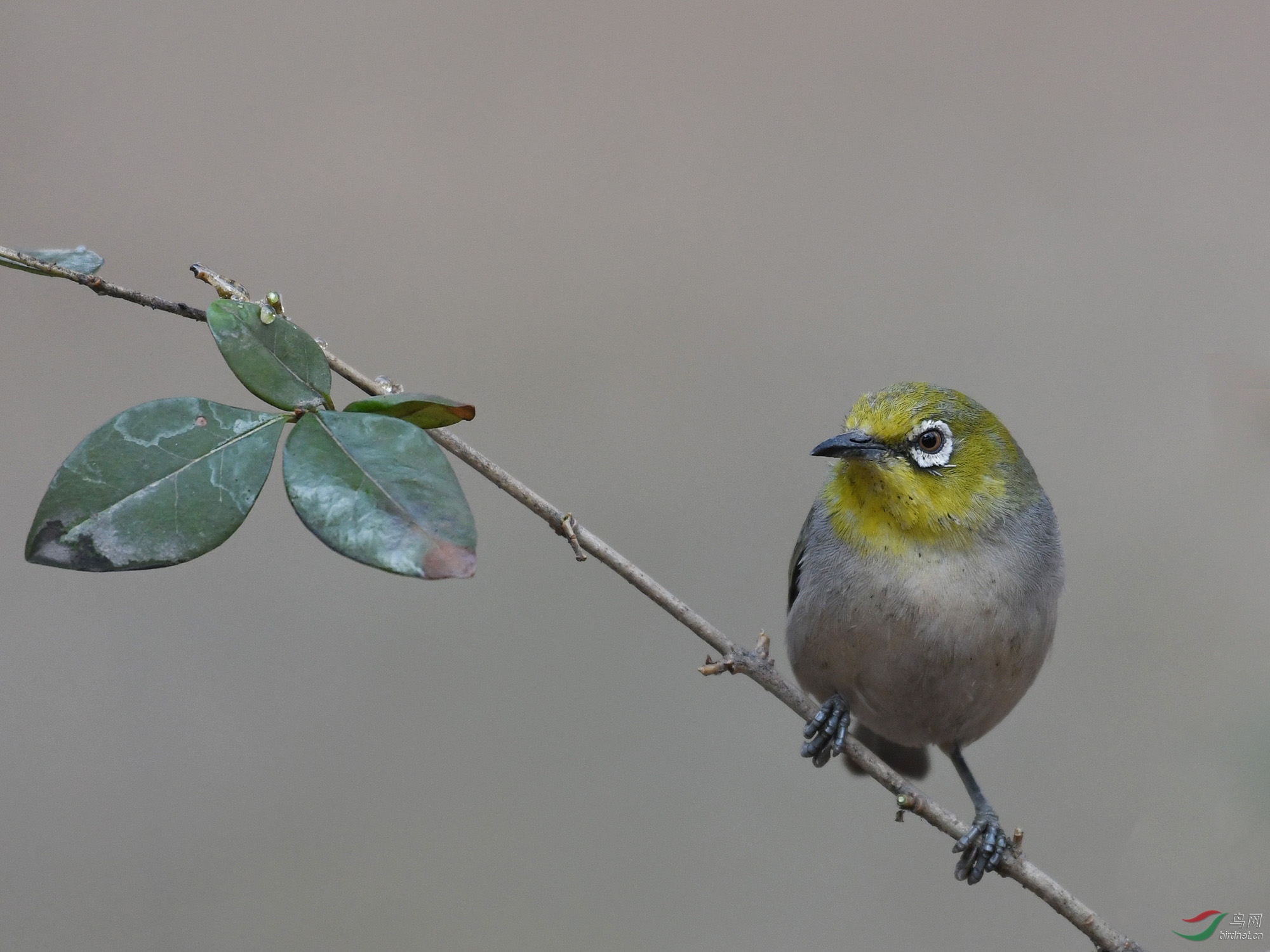 ������Ӱ 172����.jpg