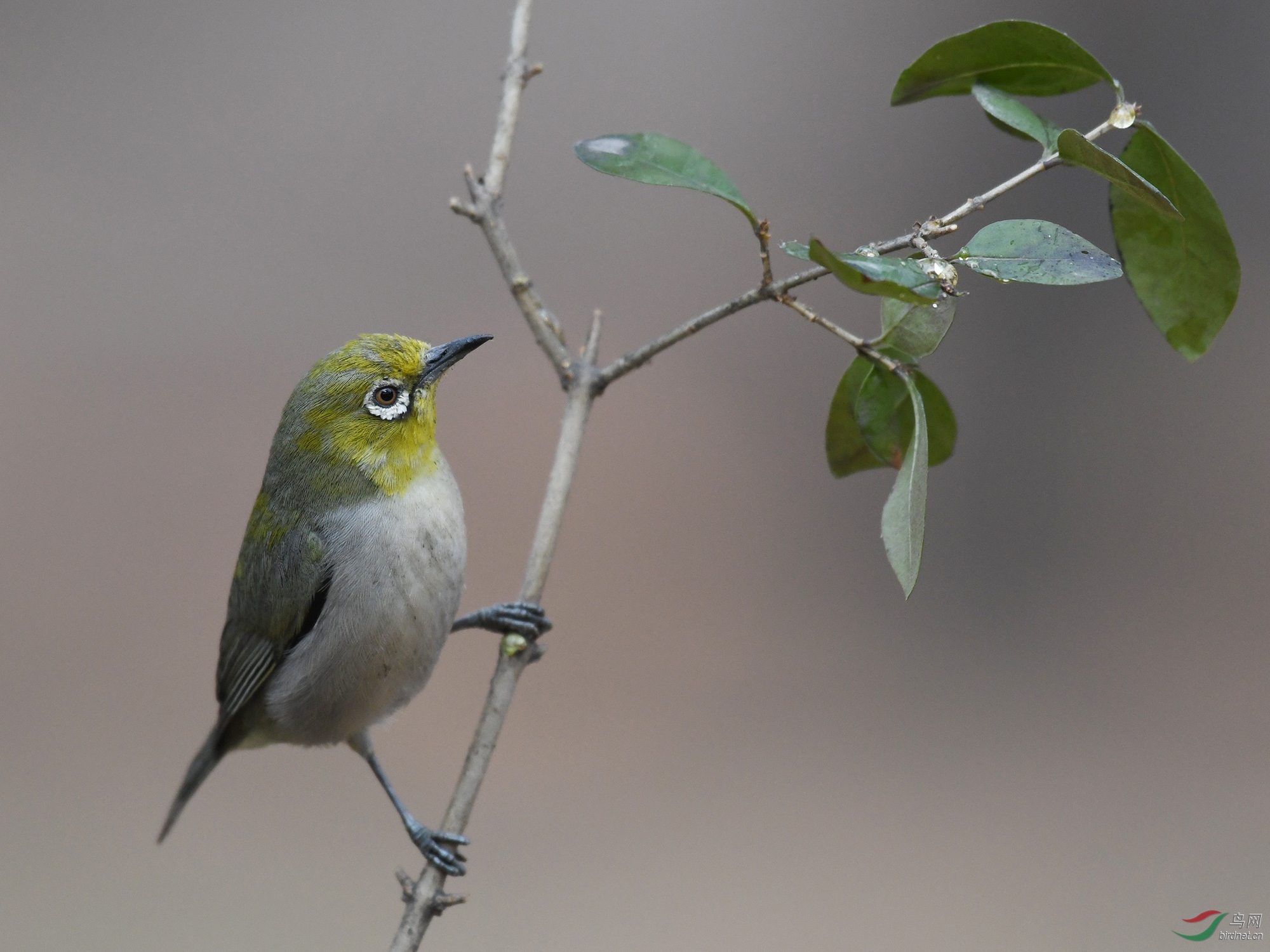 ������Ӱ 379����.jpg