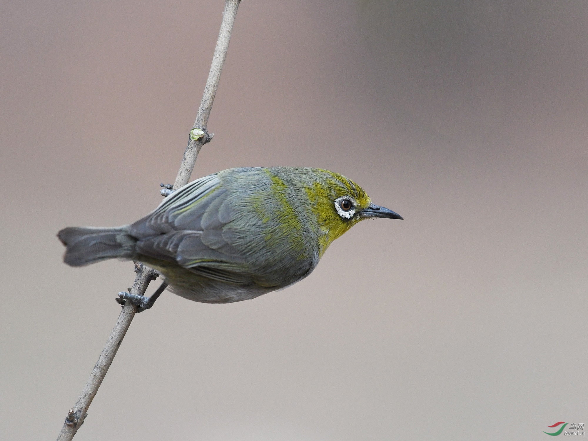 ������Ӱ 413����.jpg