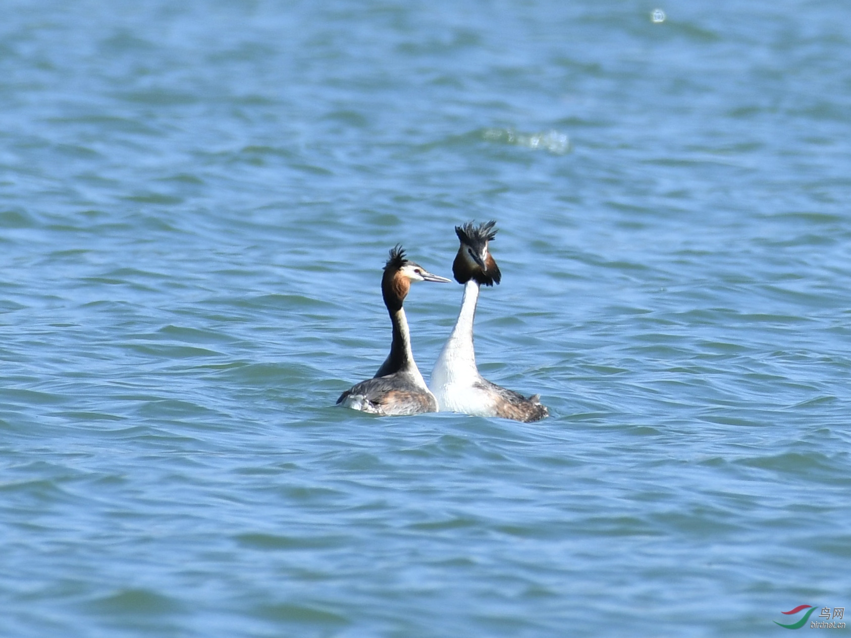 ������Ӱ 107����.jpg