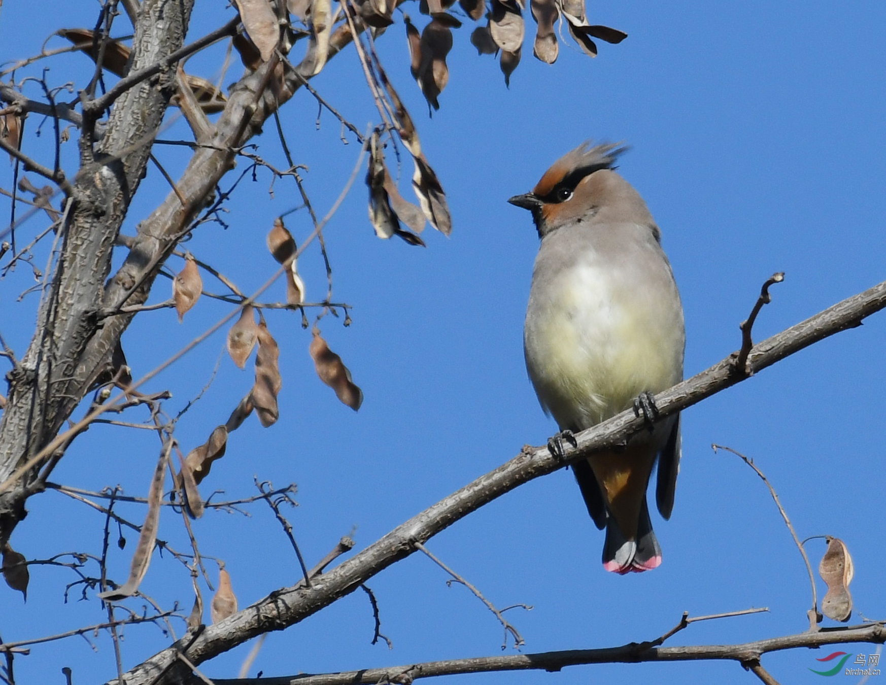 ������Ӱ 224����.jpg