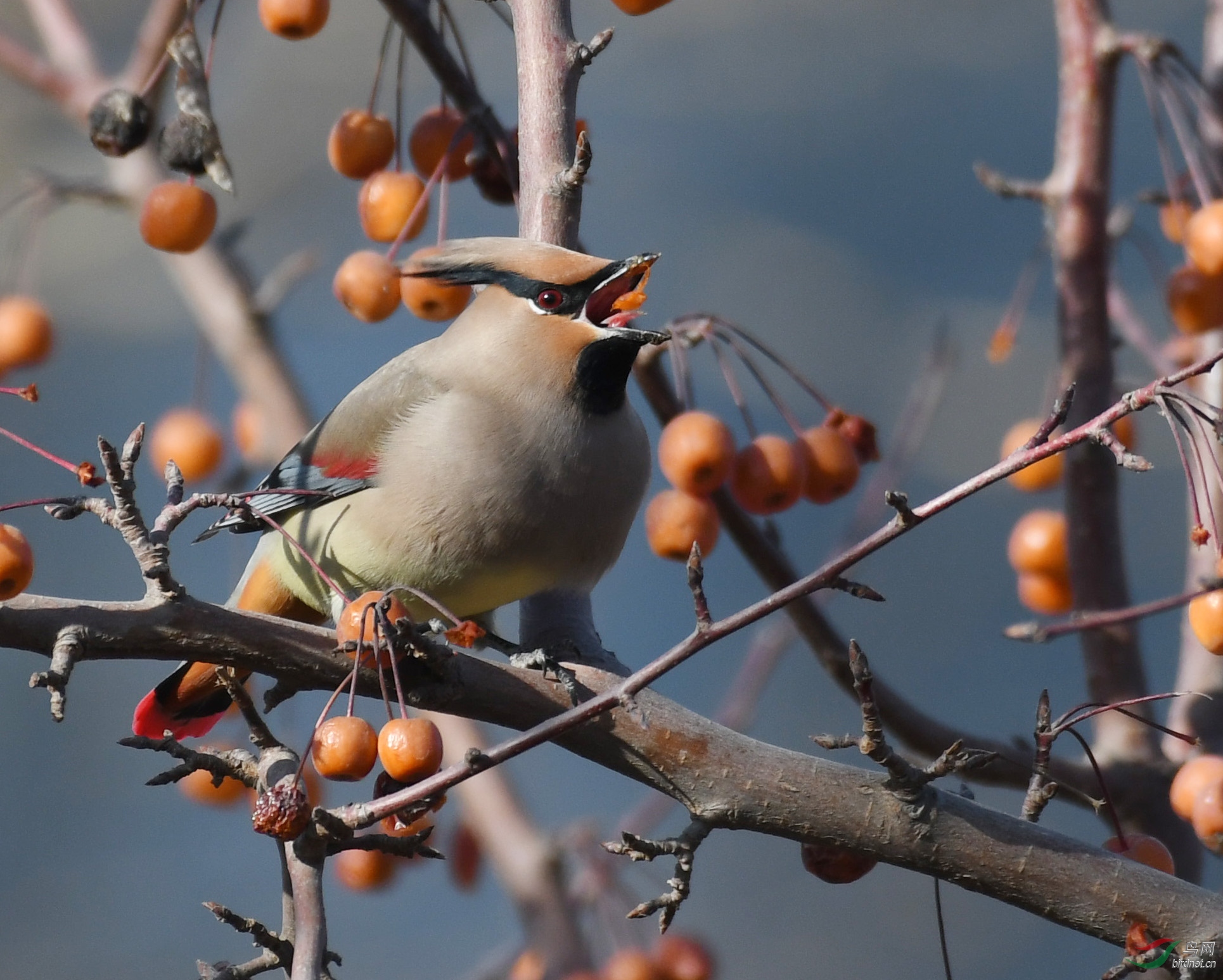 ������Ӱ 565����.jpg