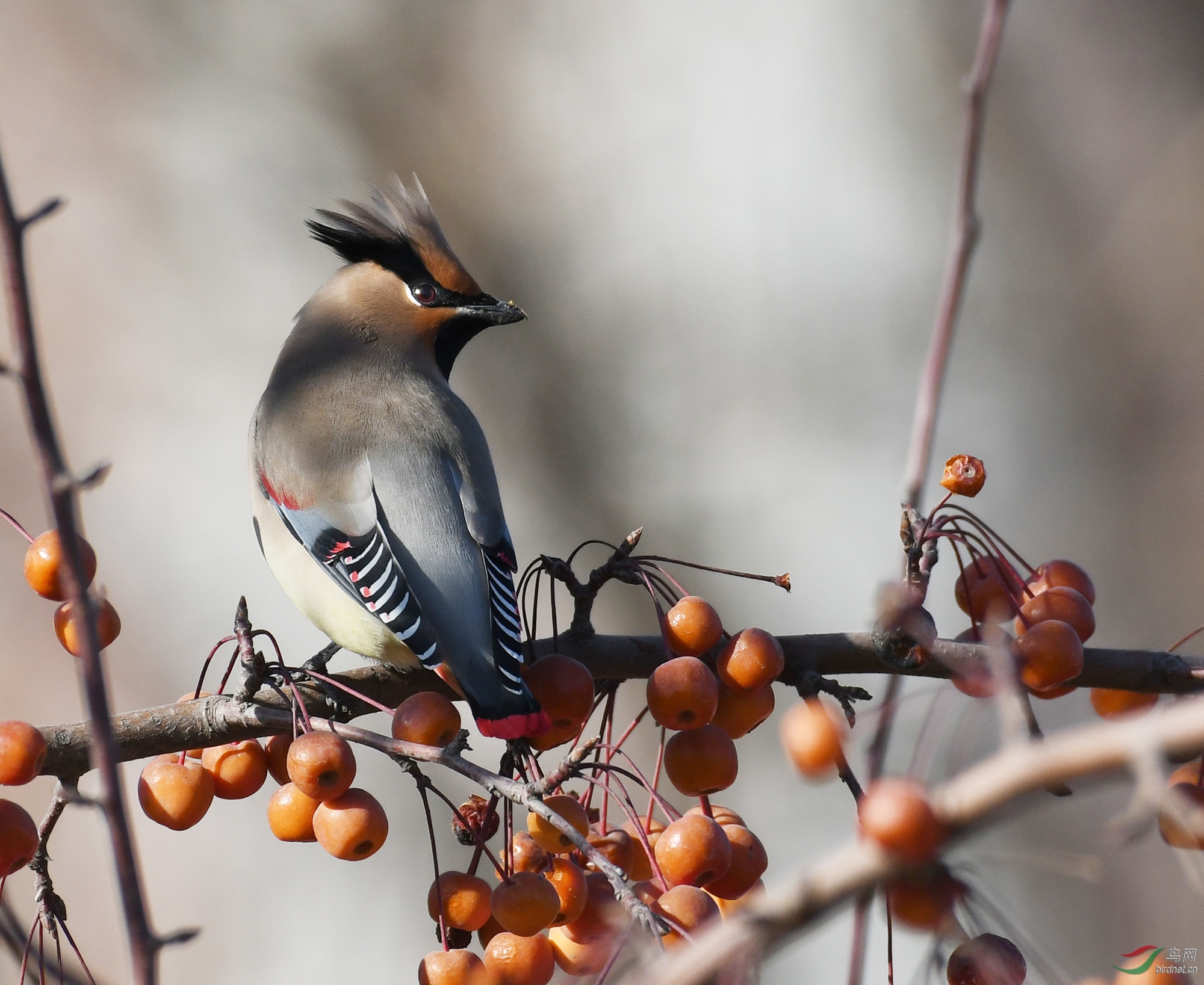 ������Ӱ 650����.jpg